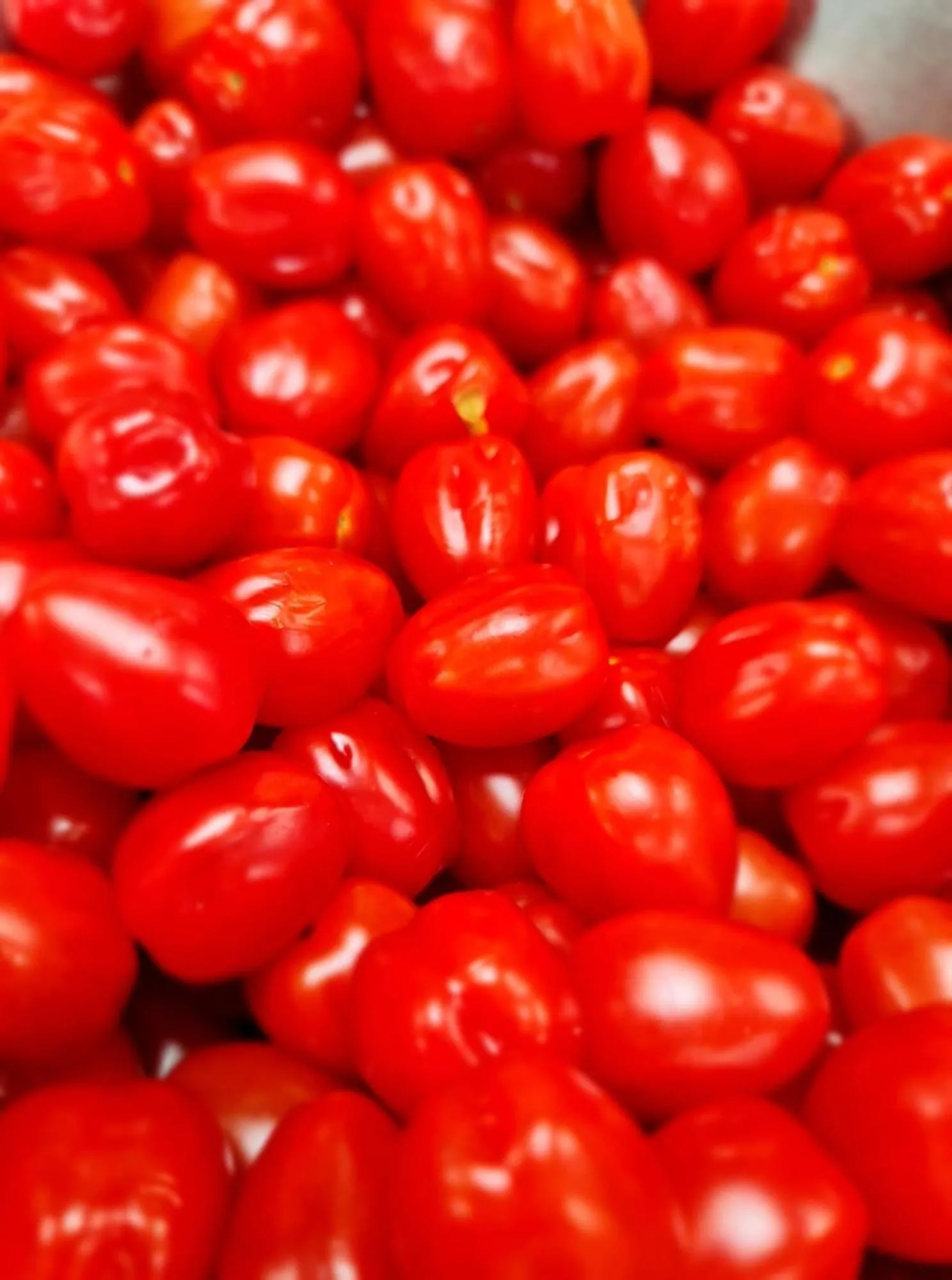 Food and drinks in Hotel Stokkegaarden's BnB & Apartments