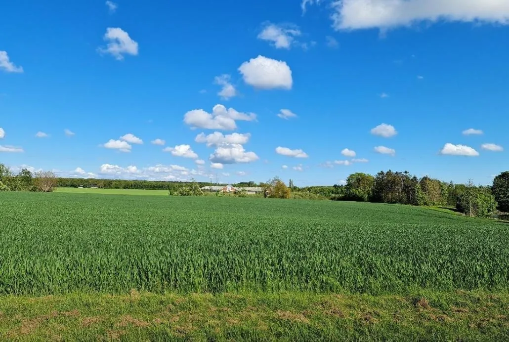 Spring in Hotel Stokkegaarden's BnB & Apartments