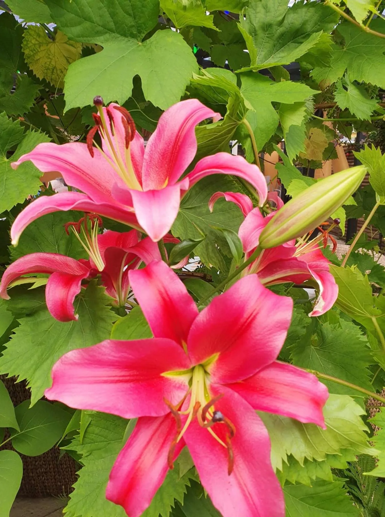 Property building in Hotel Stokkegaarden's BnB & Apartments