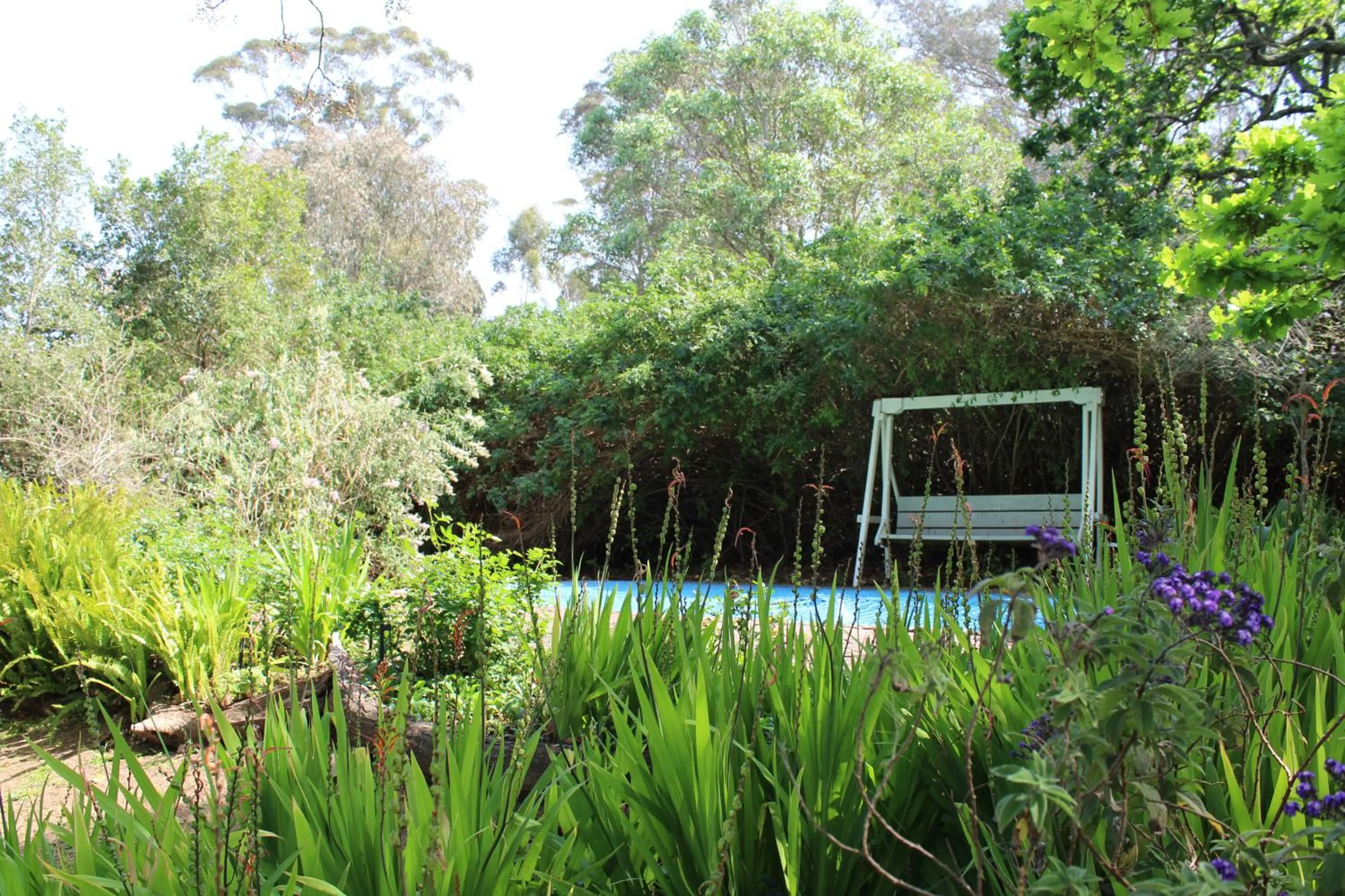Garden view, Garden in Moolmanshof 1798, Traditional Cape Dutch H-Shaped Farmhouse