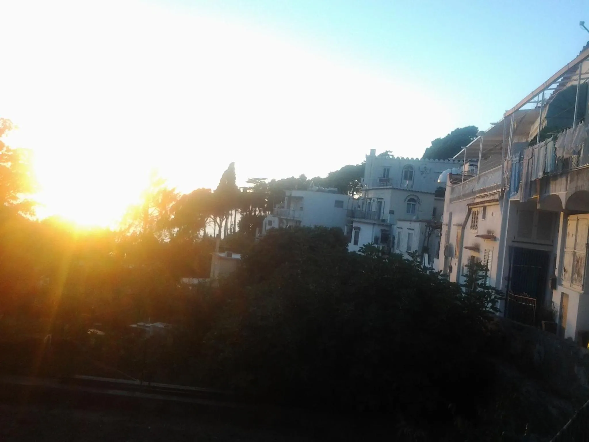 Bird's eye view in B&B Angelide