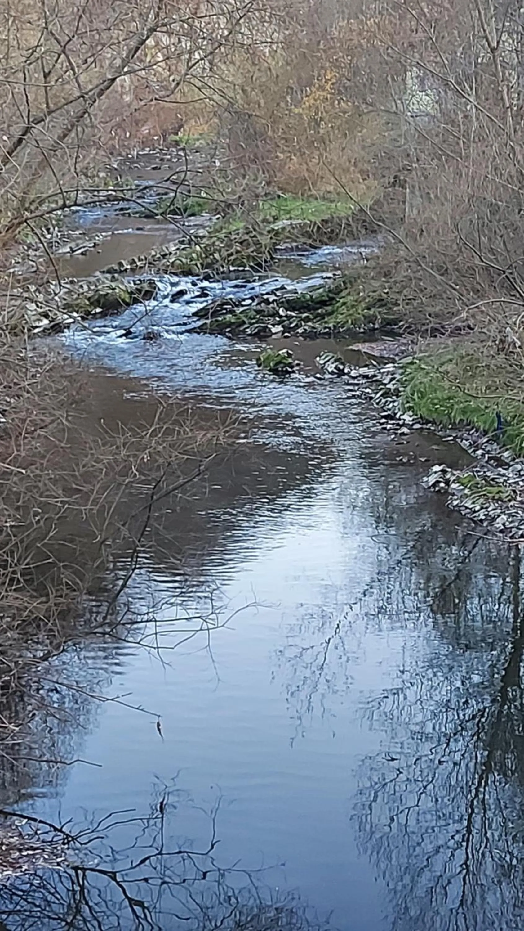 River view in B&B Emarik