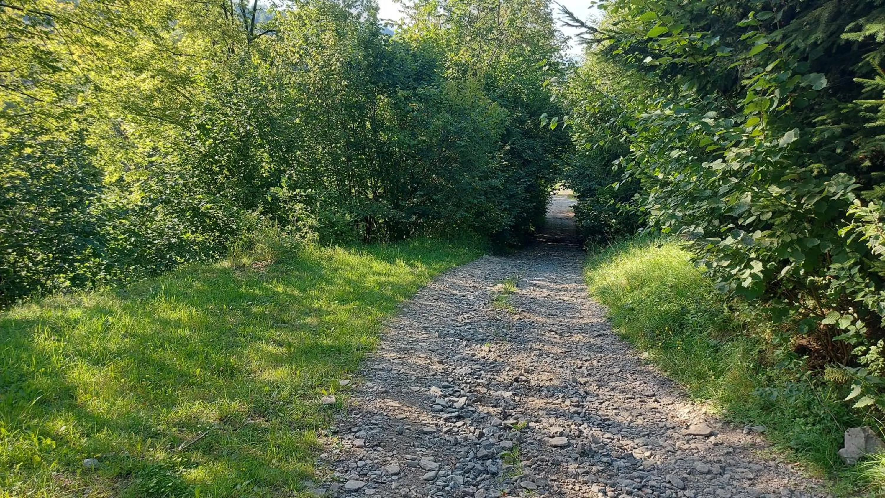 Natural landscape in B&B Emarik