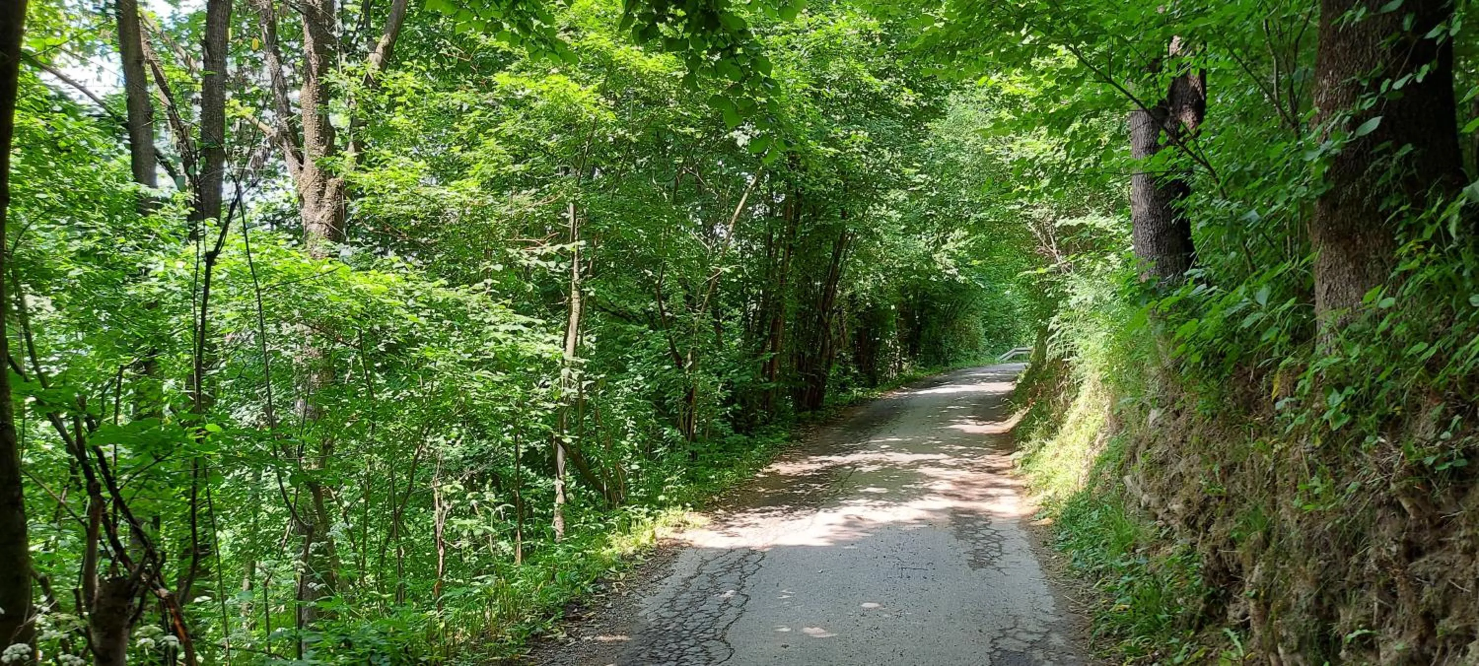 Area and facilities in B&B Emarik