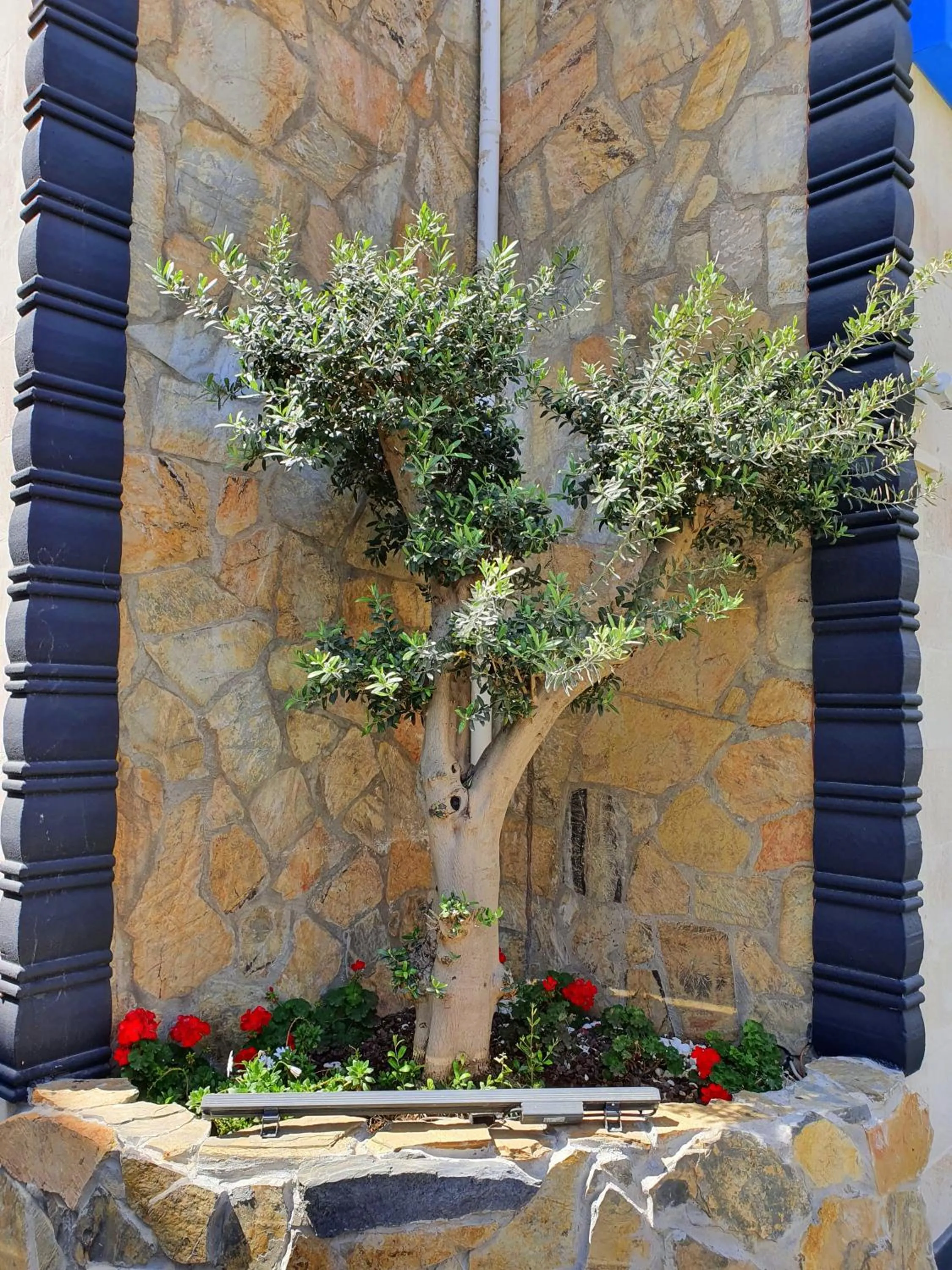 Garden in Home Mood Apart Hotel