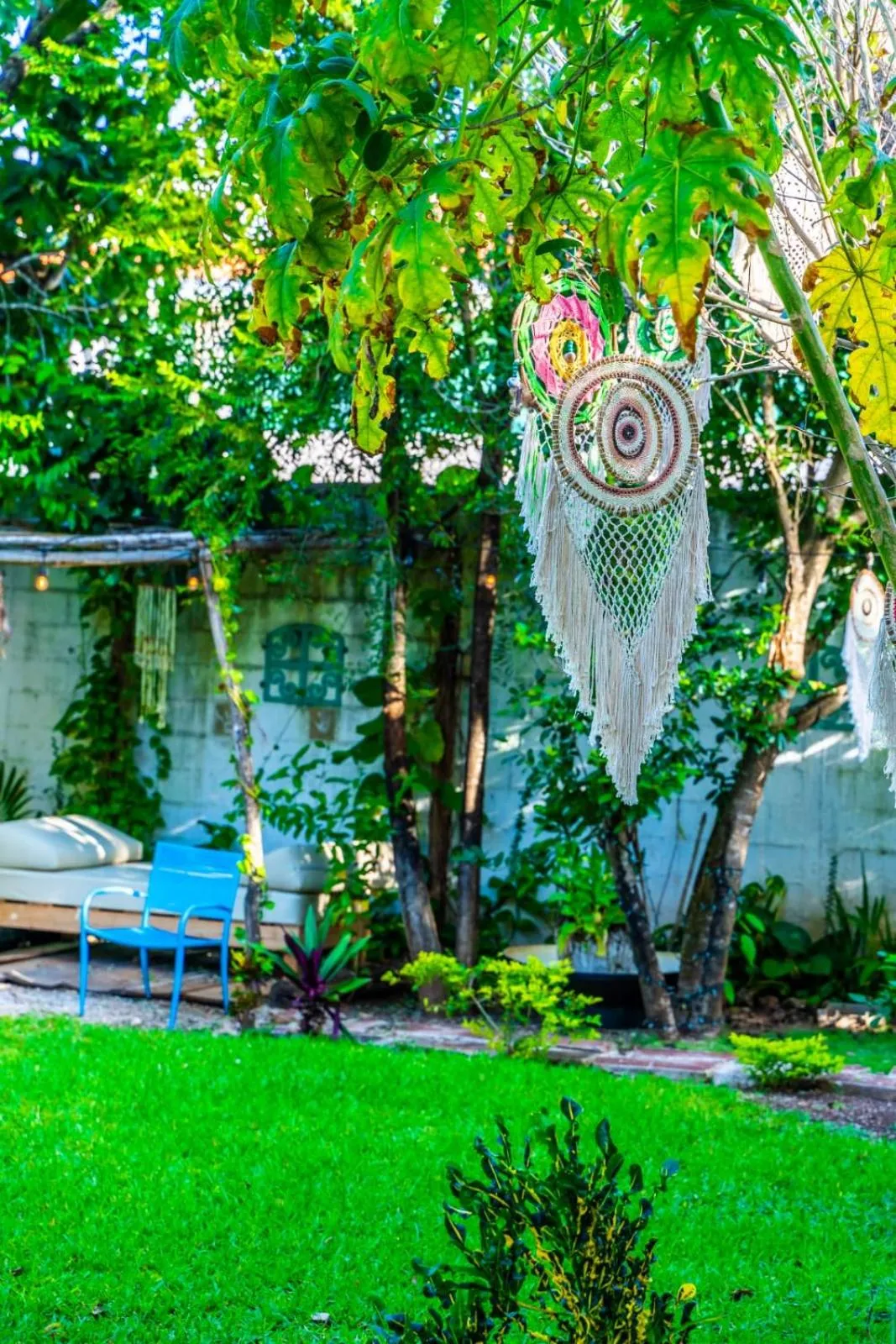 Garden view in Casa Borush by Ecoplaneta
