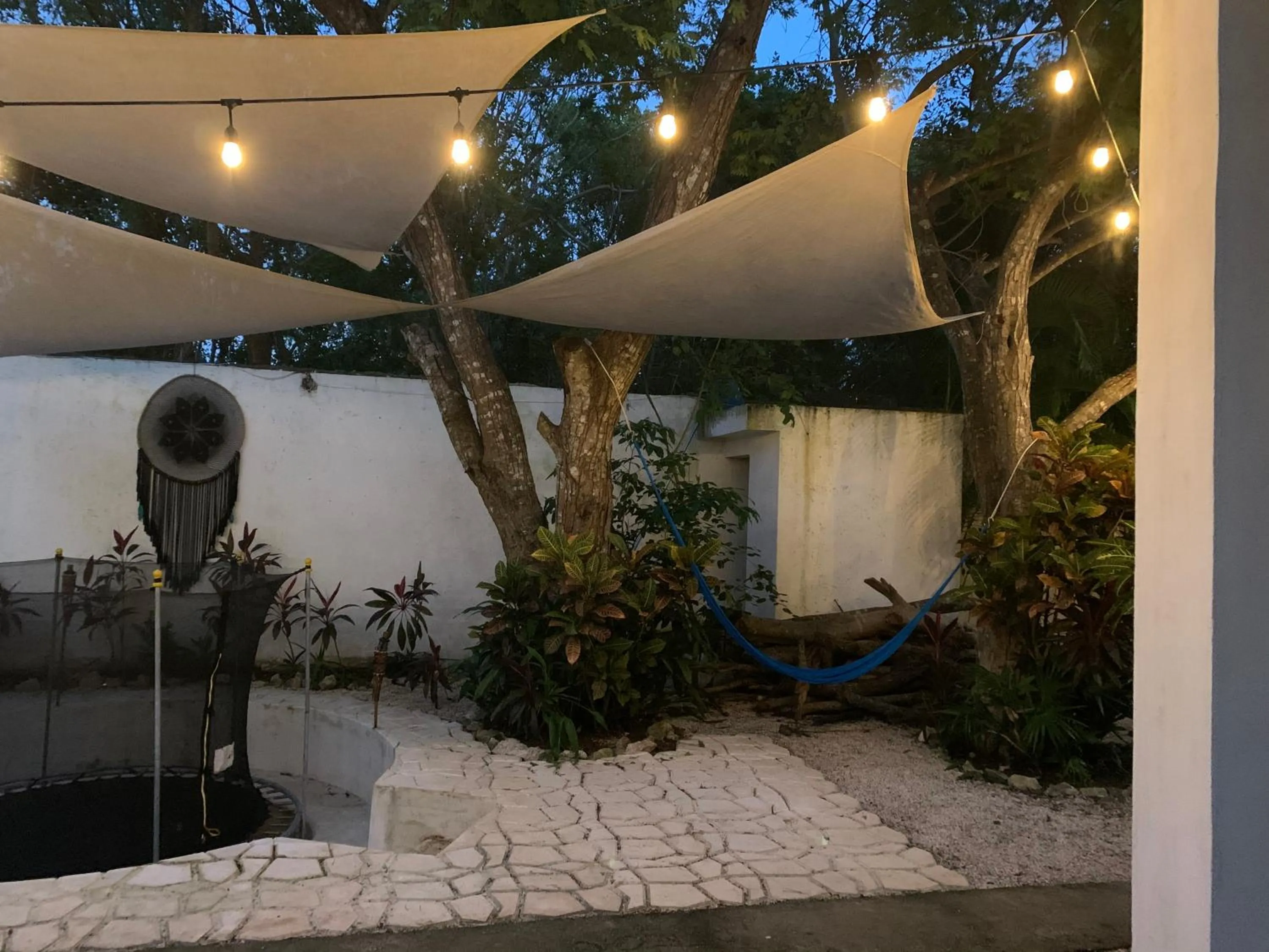 Garden view in Casa Borush by Ecoplaneta