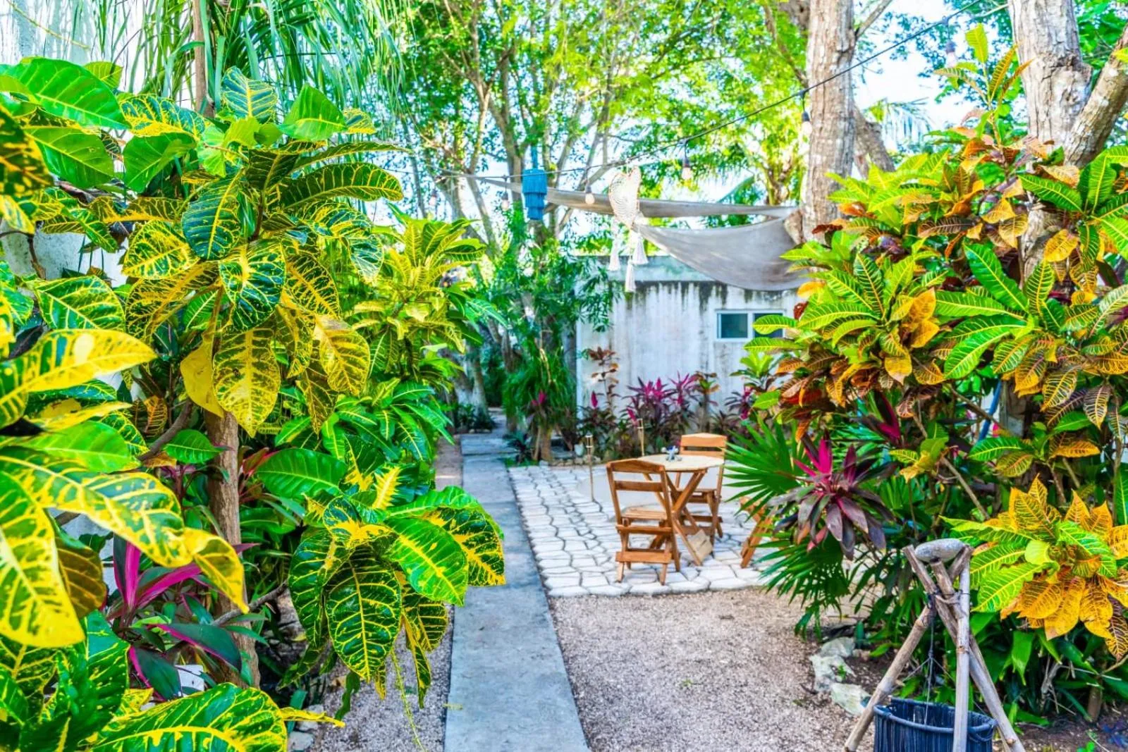Garden in Casa Borush by Ecoplaneta