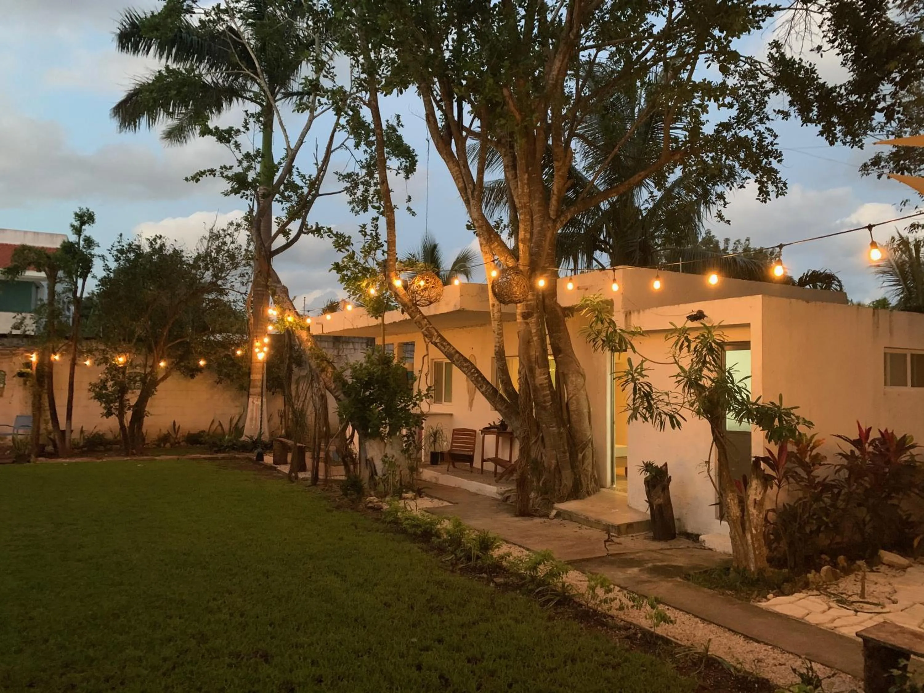 Garden view in Casa Borush by Ecoplaneta