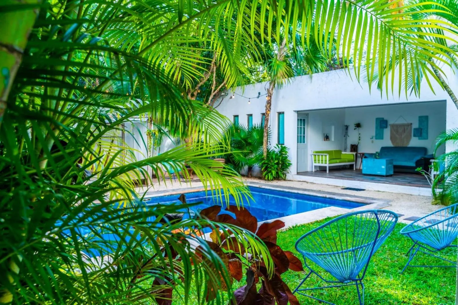 Garden view in Casa Borush by Ecoplaneta