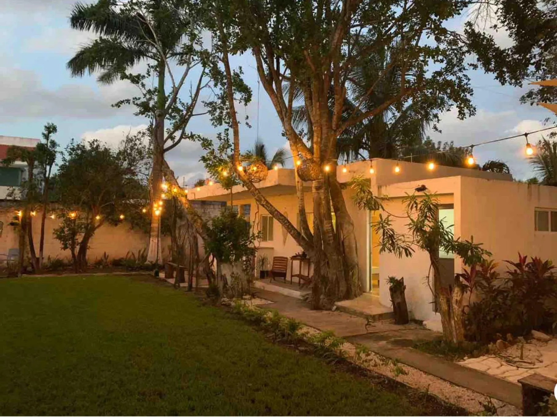 Garden in Casa Borush by Ecoplaneta