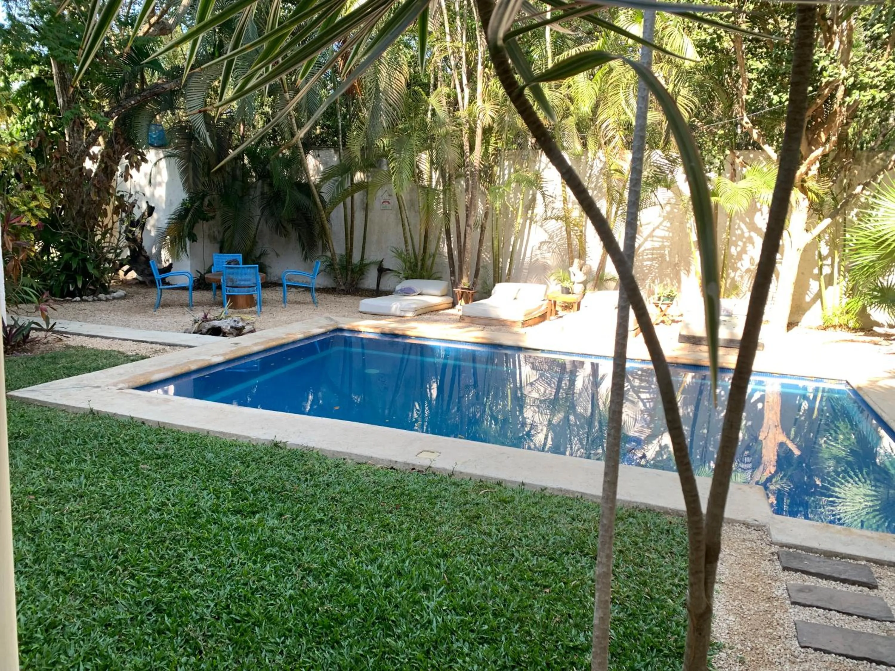 Swimming pool in Casa Borush by Ecoplaneta