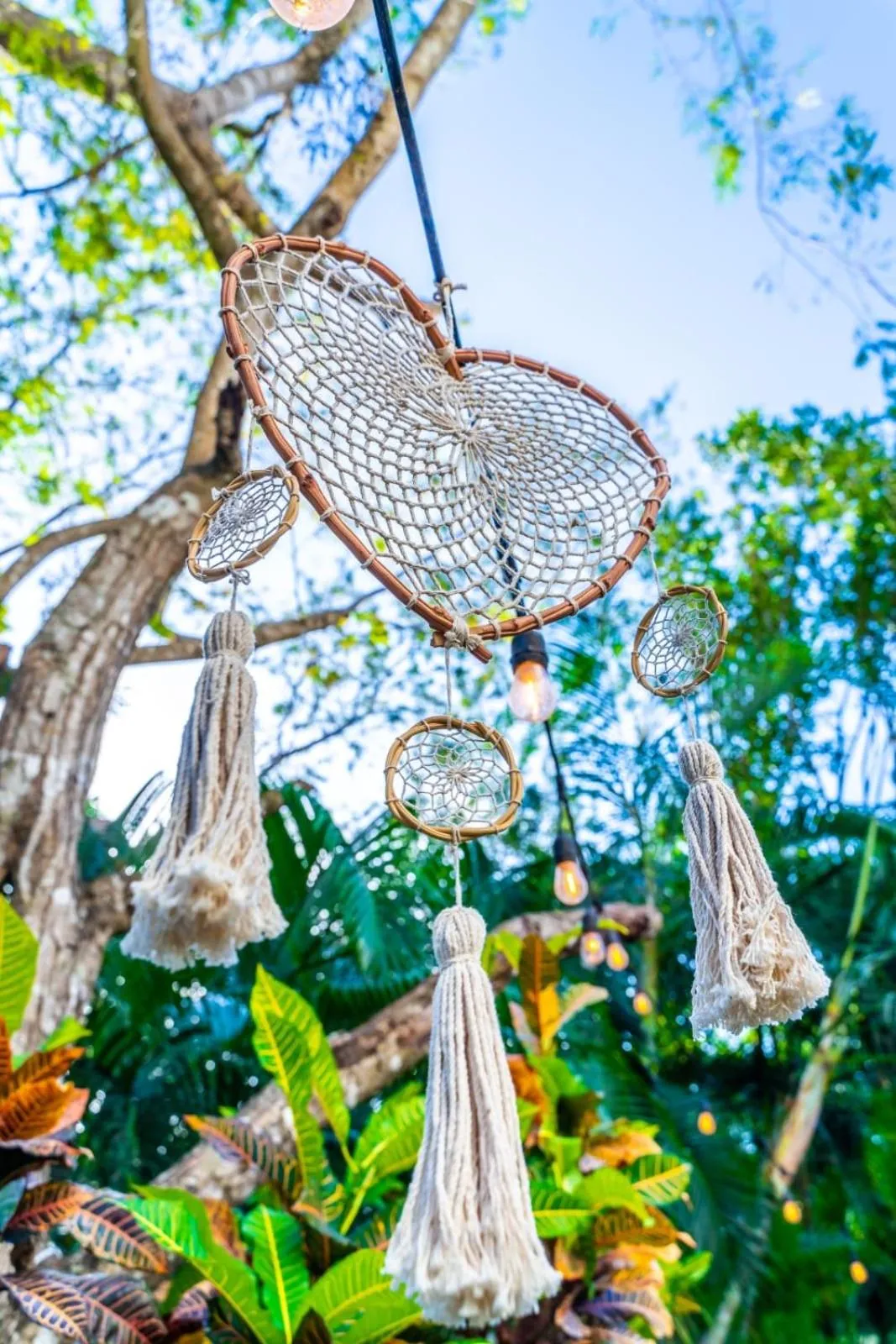 Garden in Casa Borush by Ecoplaneta
