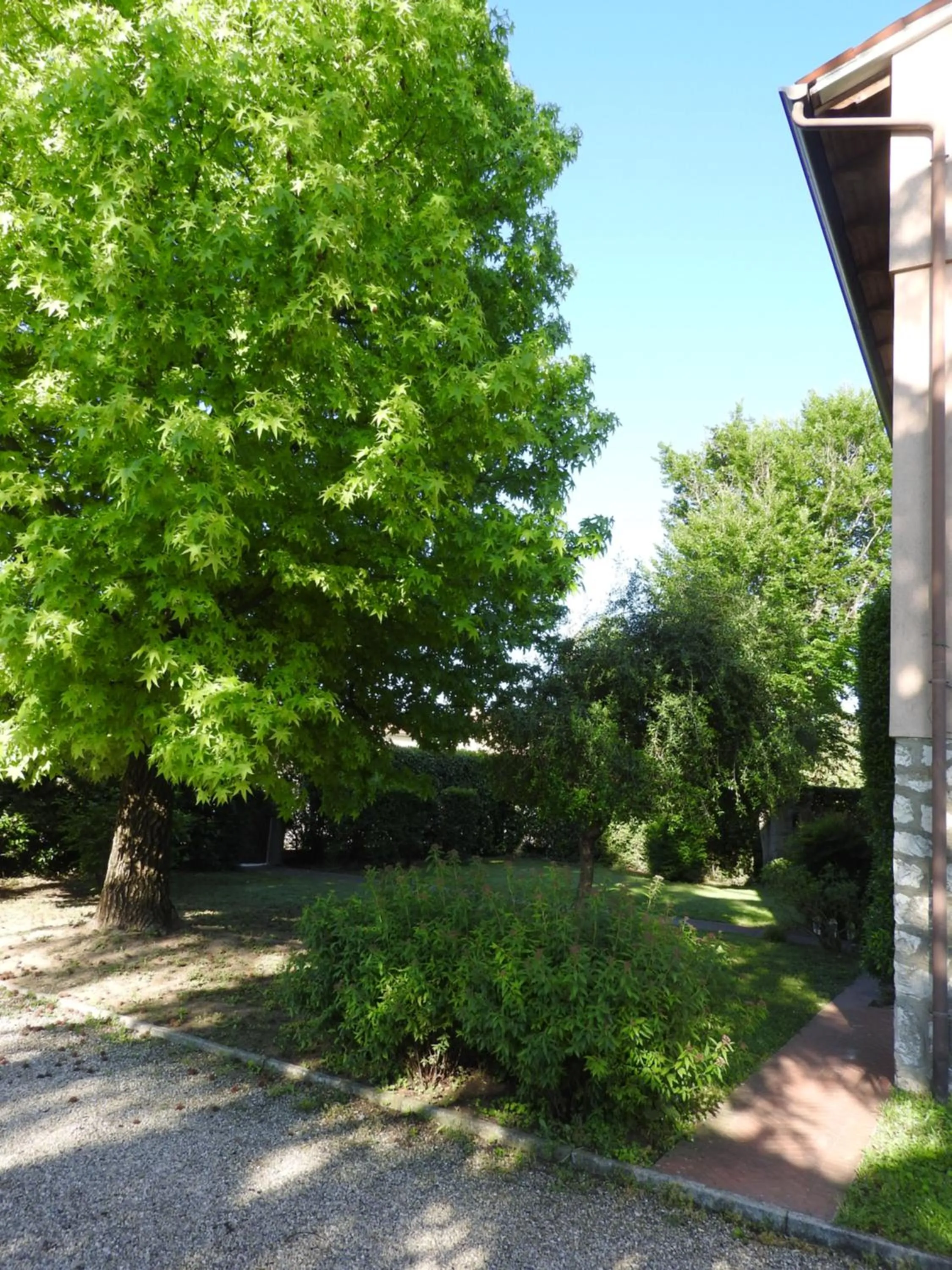 Garden in Villa Venezia