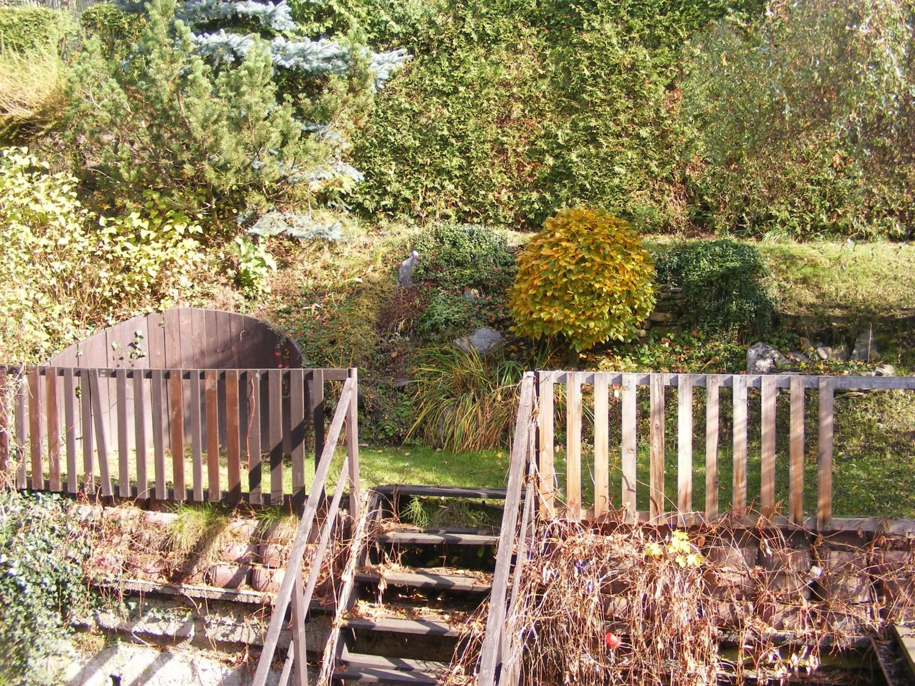 Studio - single occupancy in Apartmán Maršík