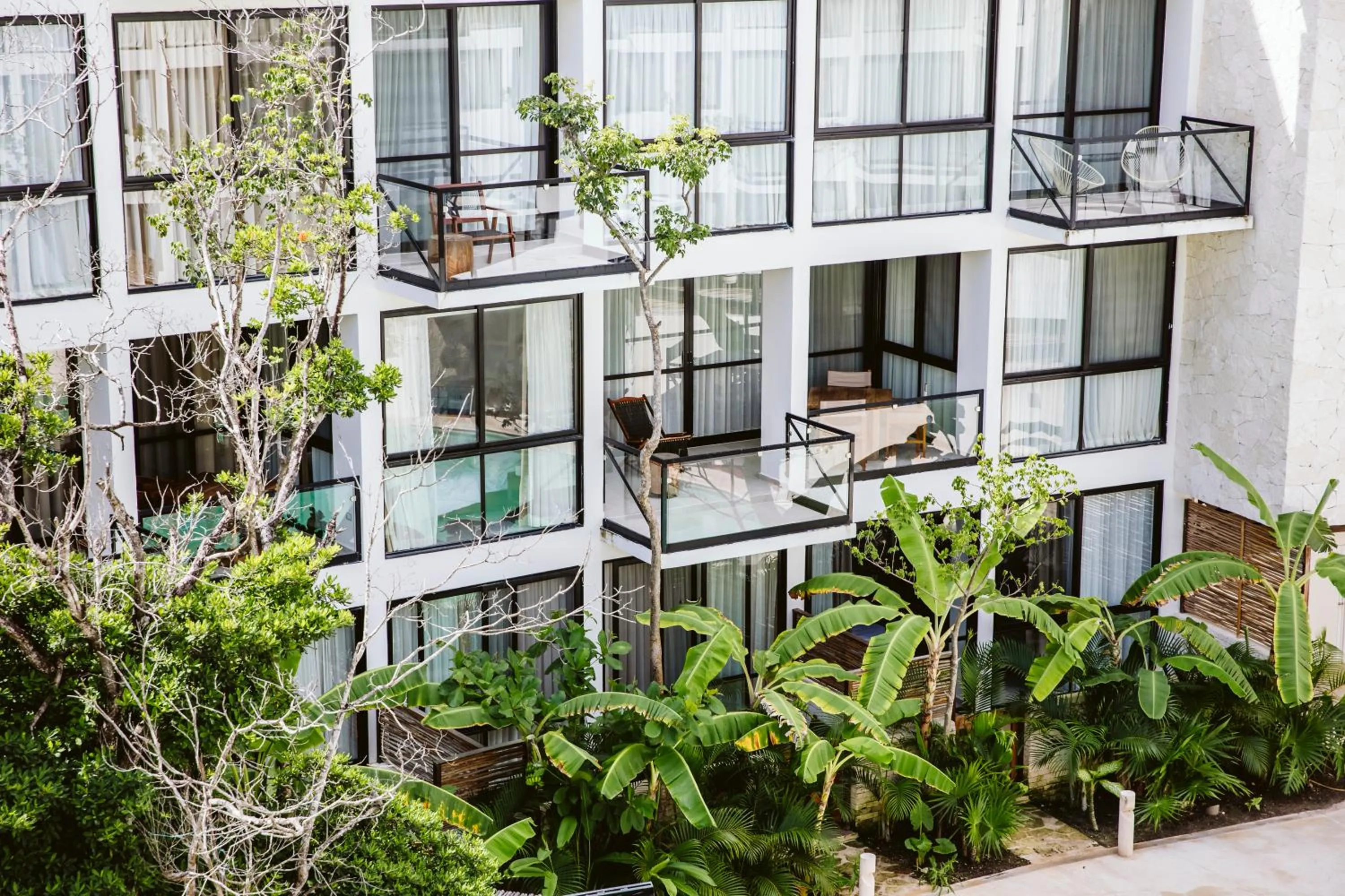 Day in The Waves Tulum by BNB Experience