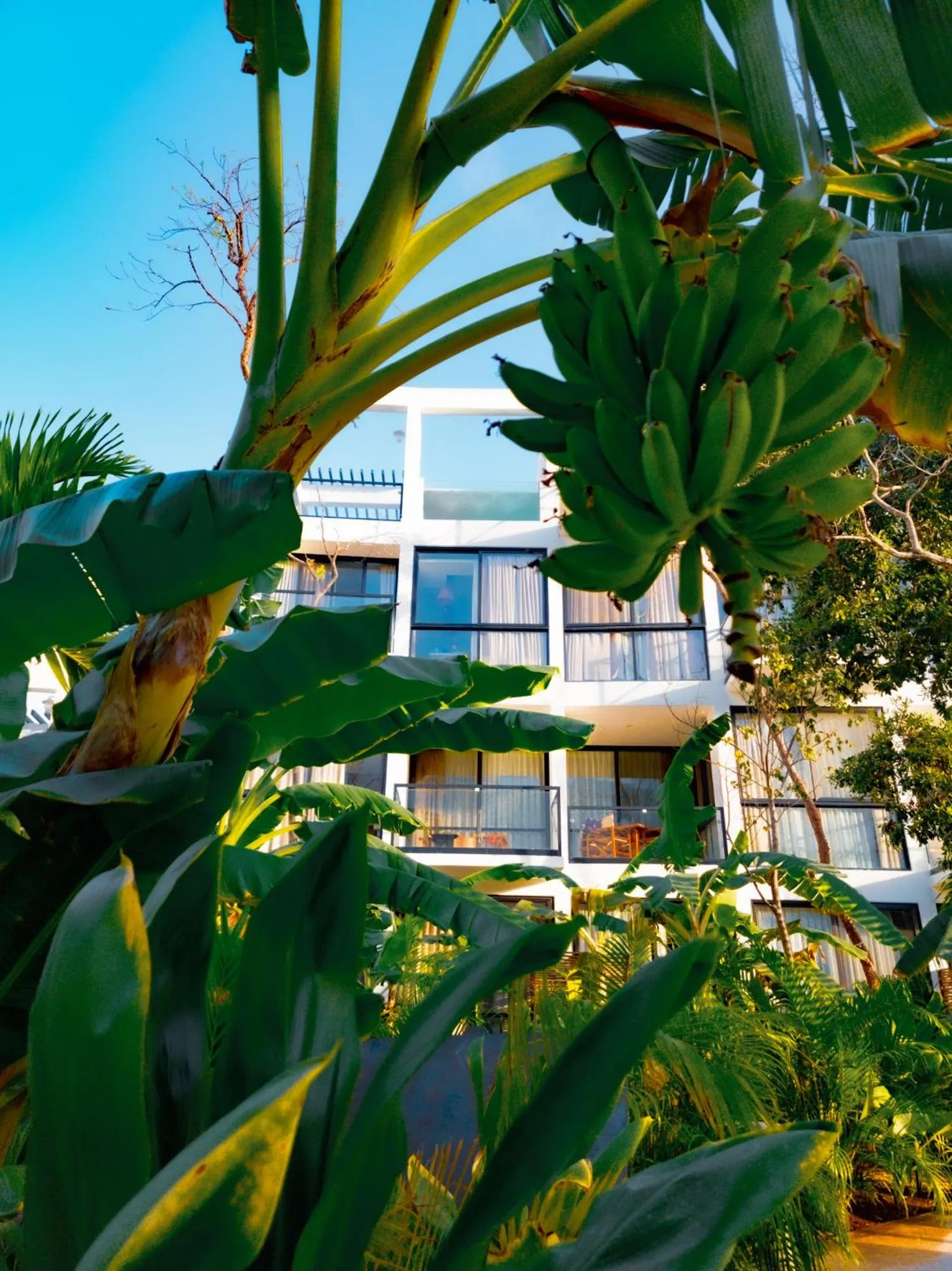 Garden in The Waves Tulum by BNB Experience