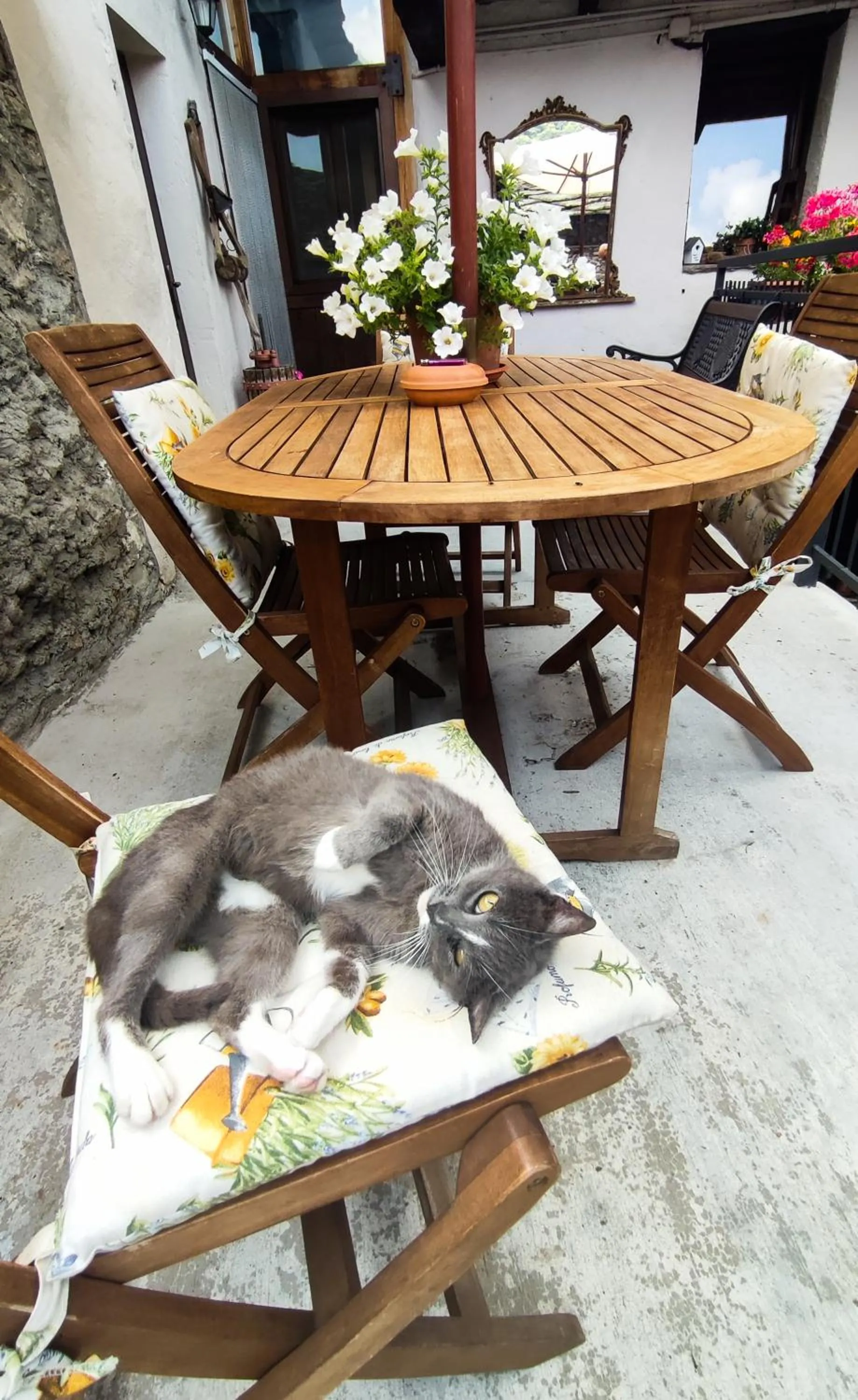 Balcony/Terrace in Medieval Hamlet Malpertus