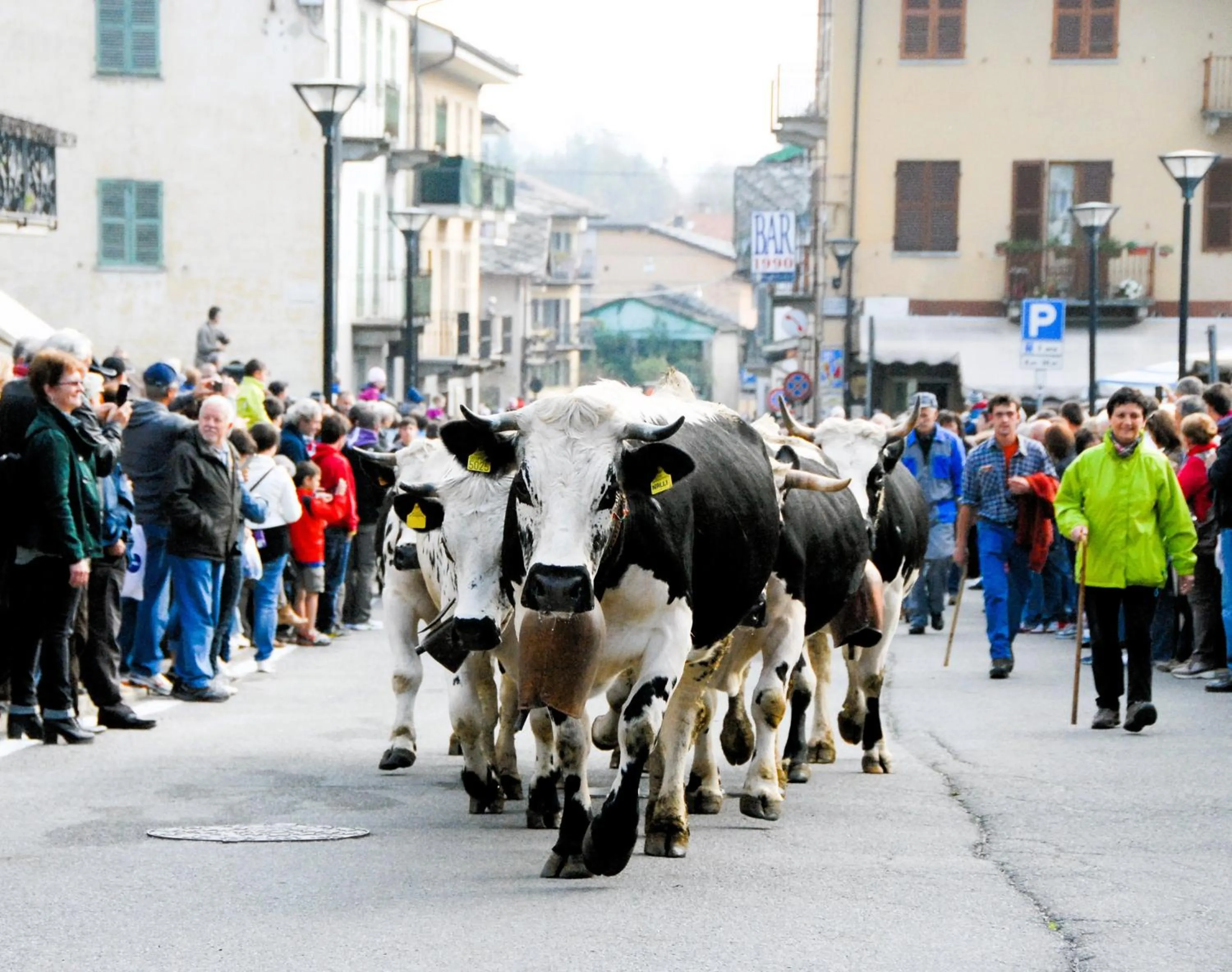 Neighbourhood in Medieval Hamlet Malpertus