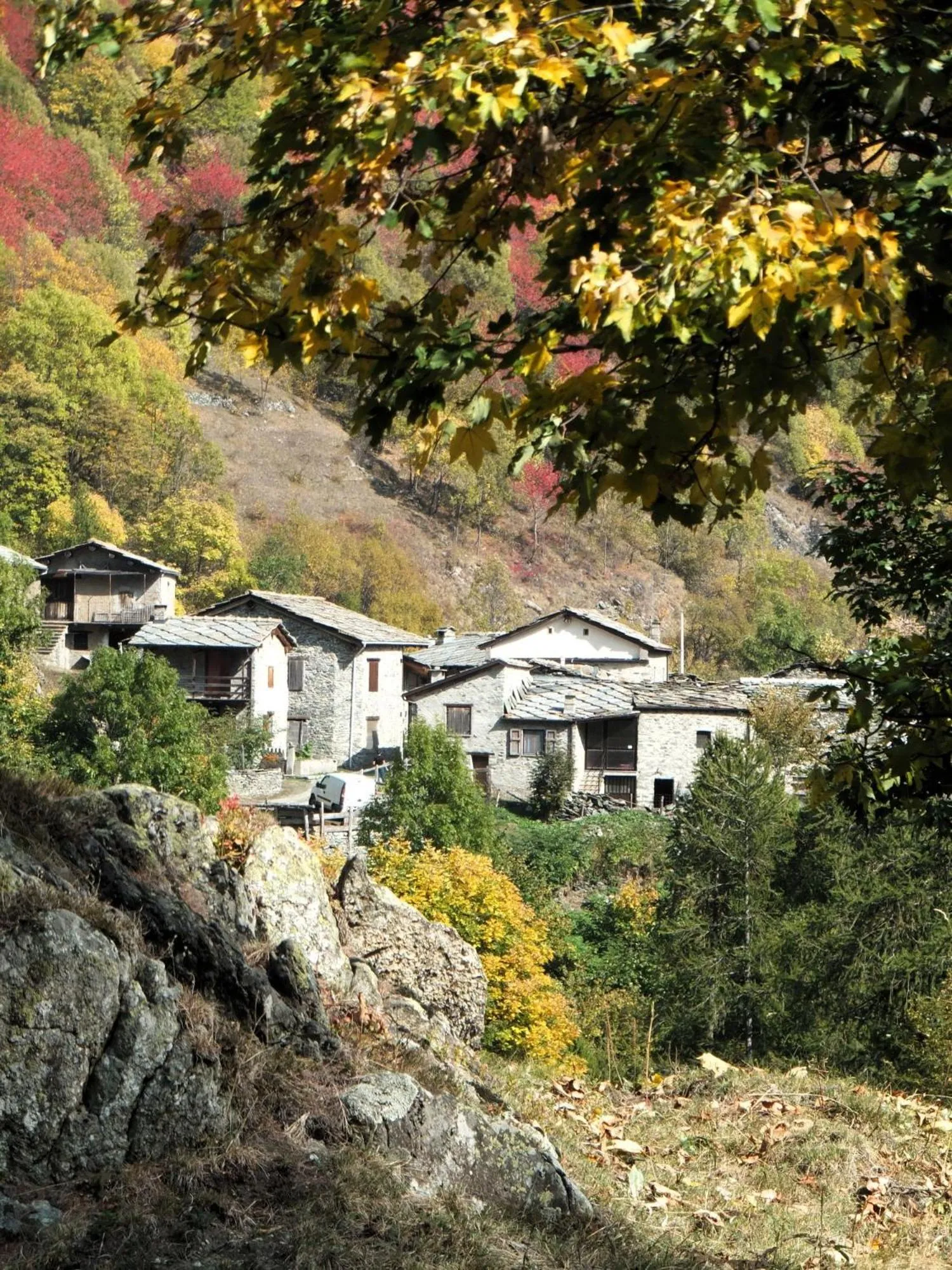 Neighbourhood in Medieval Hamlet Malpertus