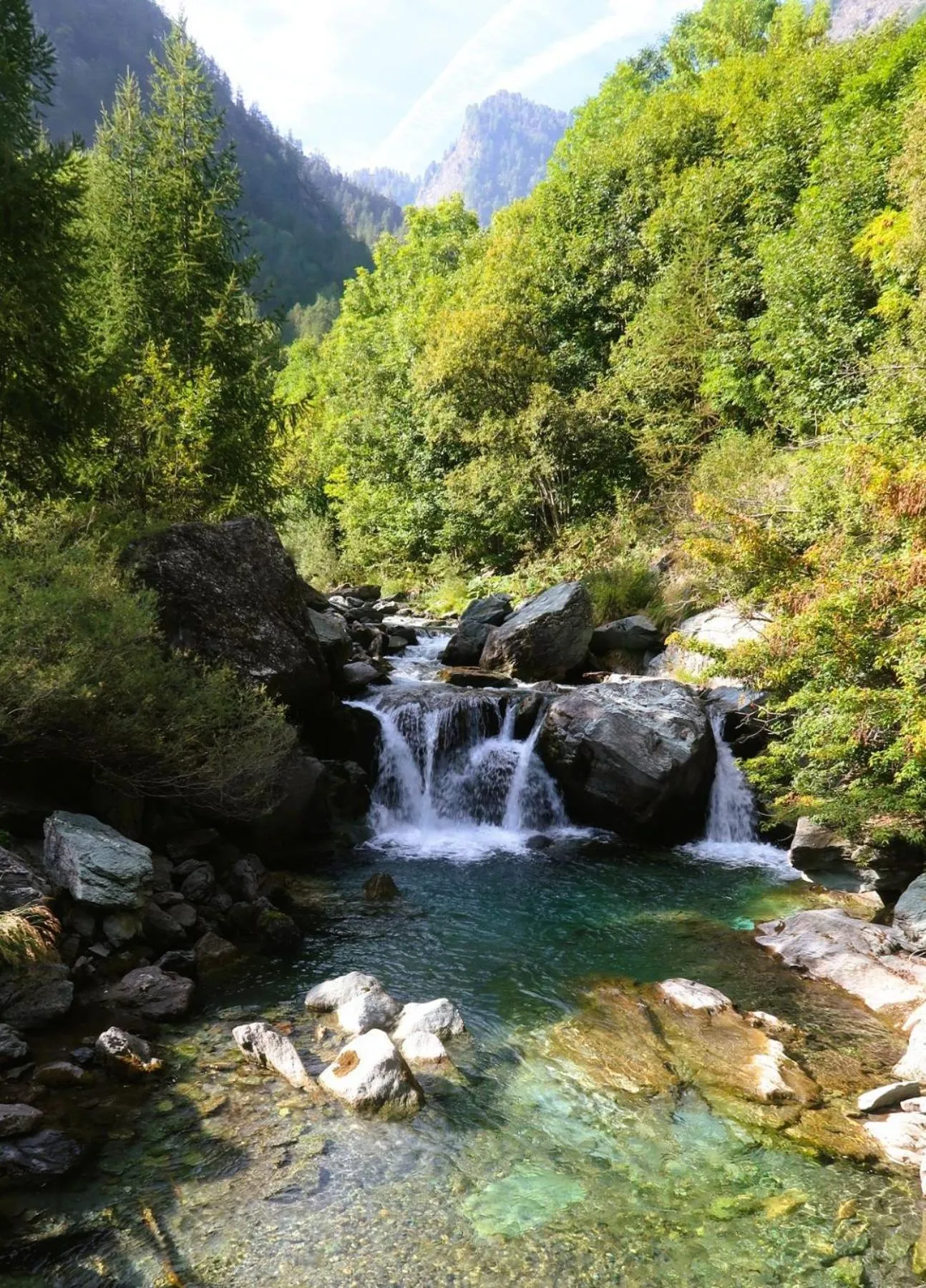 Natural landscape in Medieval Hamlet Malpertus