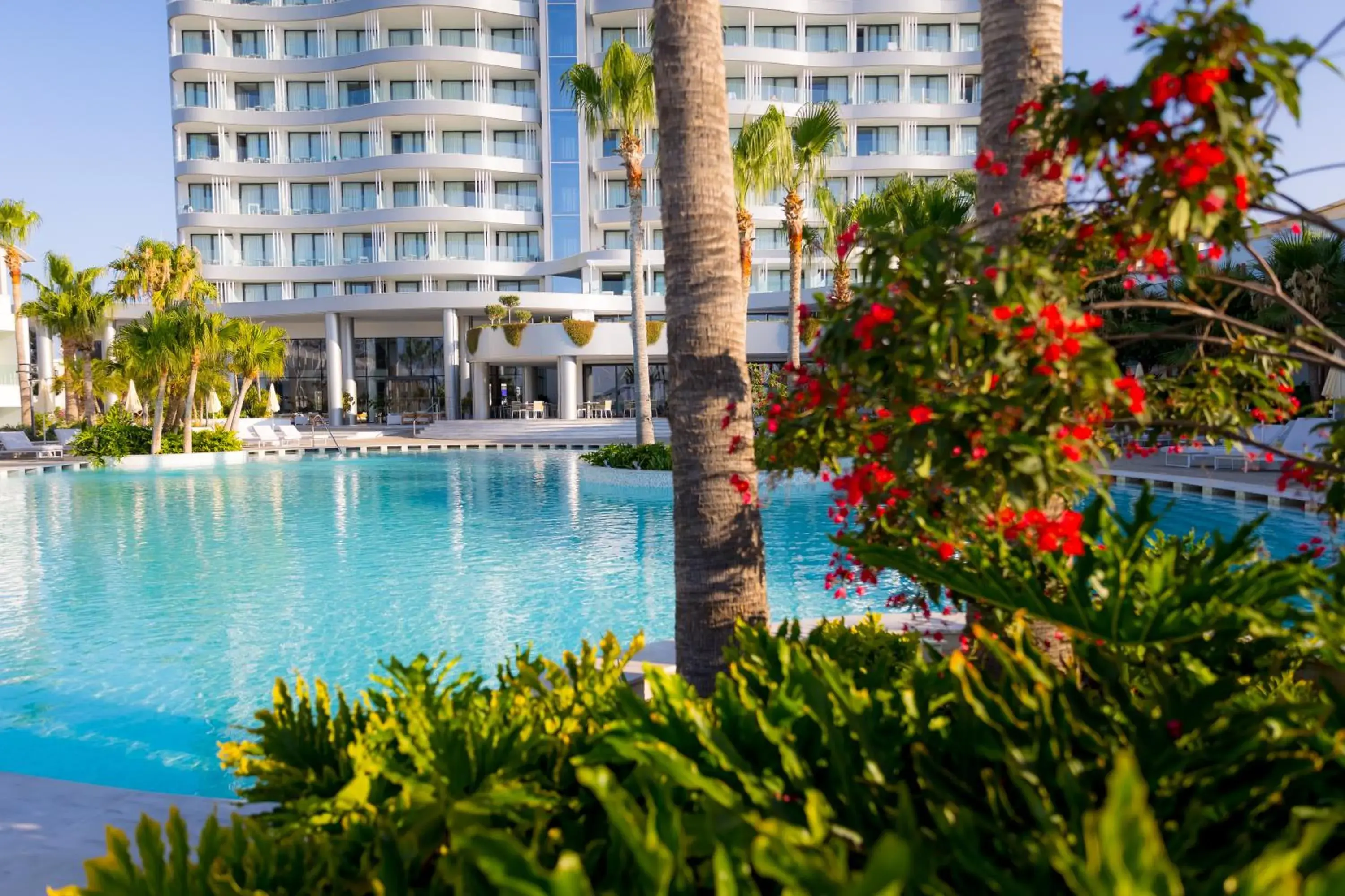 Swimming pool in Radisson Beach Resort Larnaca Swimming pool in Radisson Beach Resort Larnaca