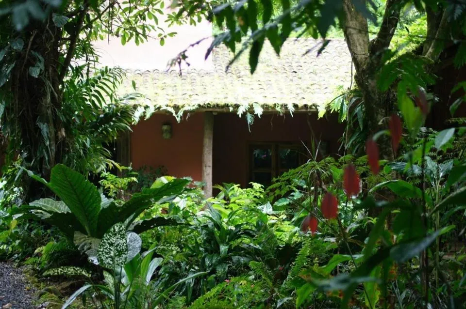 View (from property/room) in Hacienda La Isla Lodge