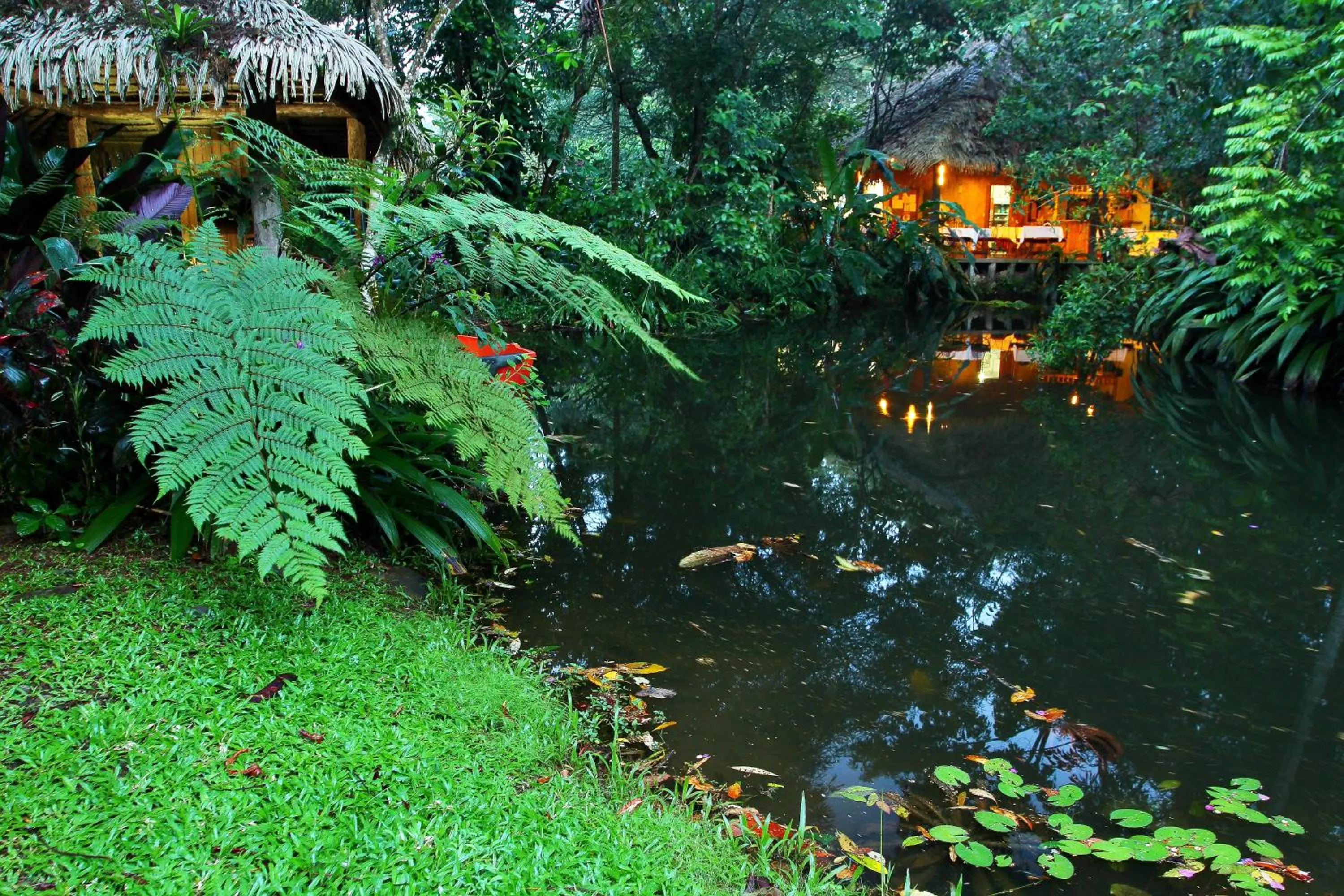 Garden in Hacienda La Isla Lodge
