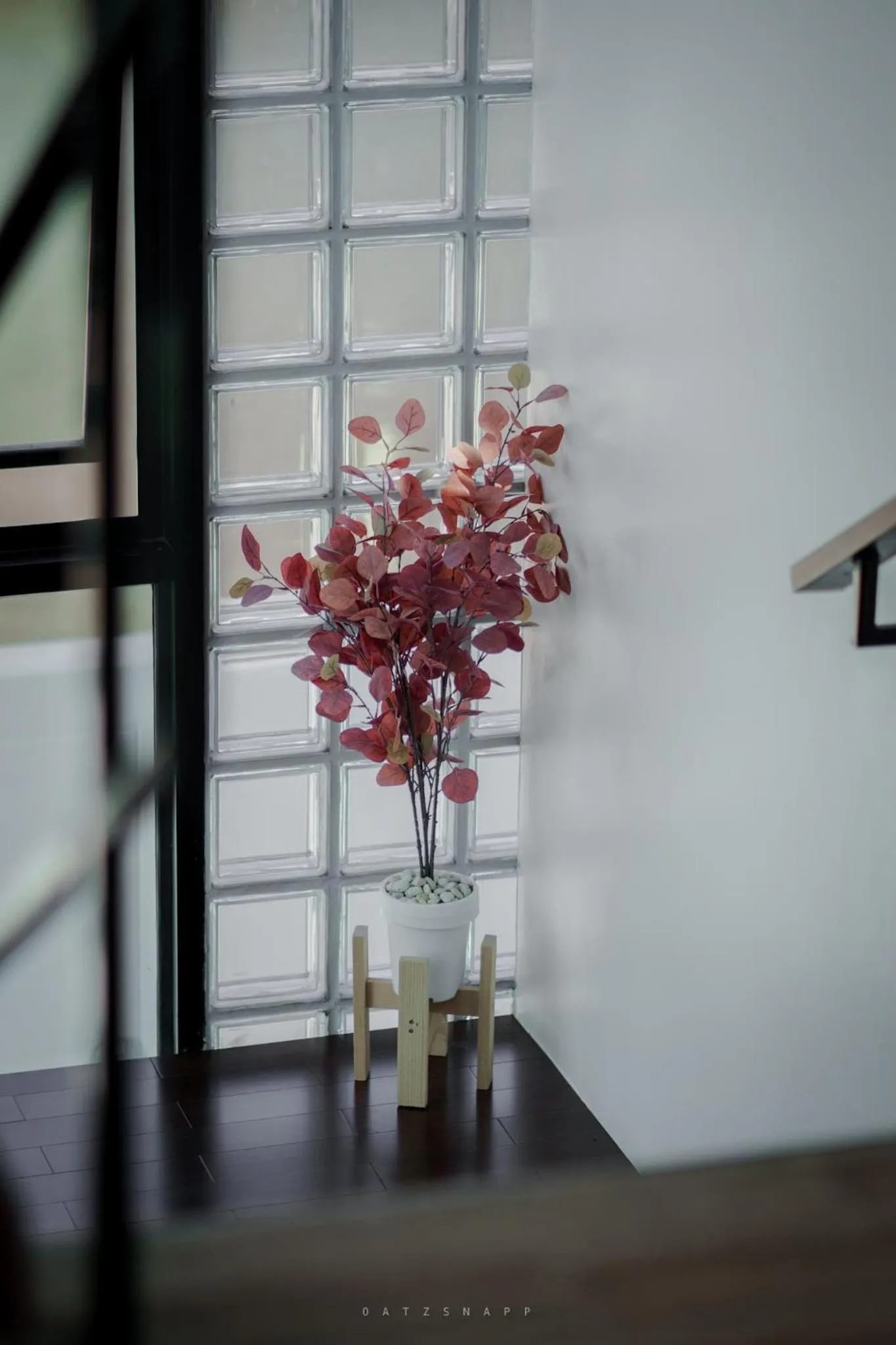 Area and facilities in Play Poshtel & Cafe'