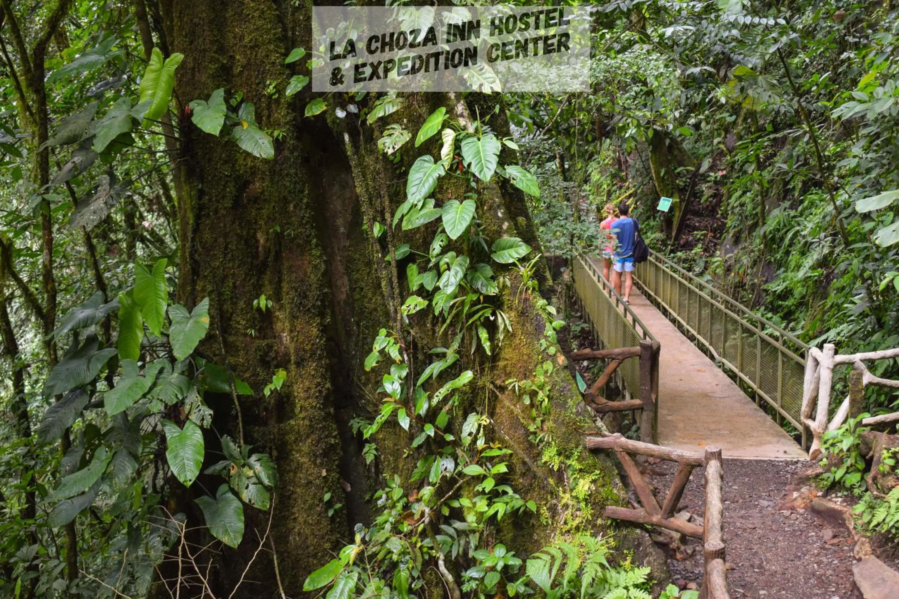 Other in Hotel La Choza Inn