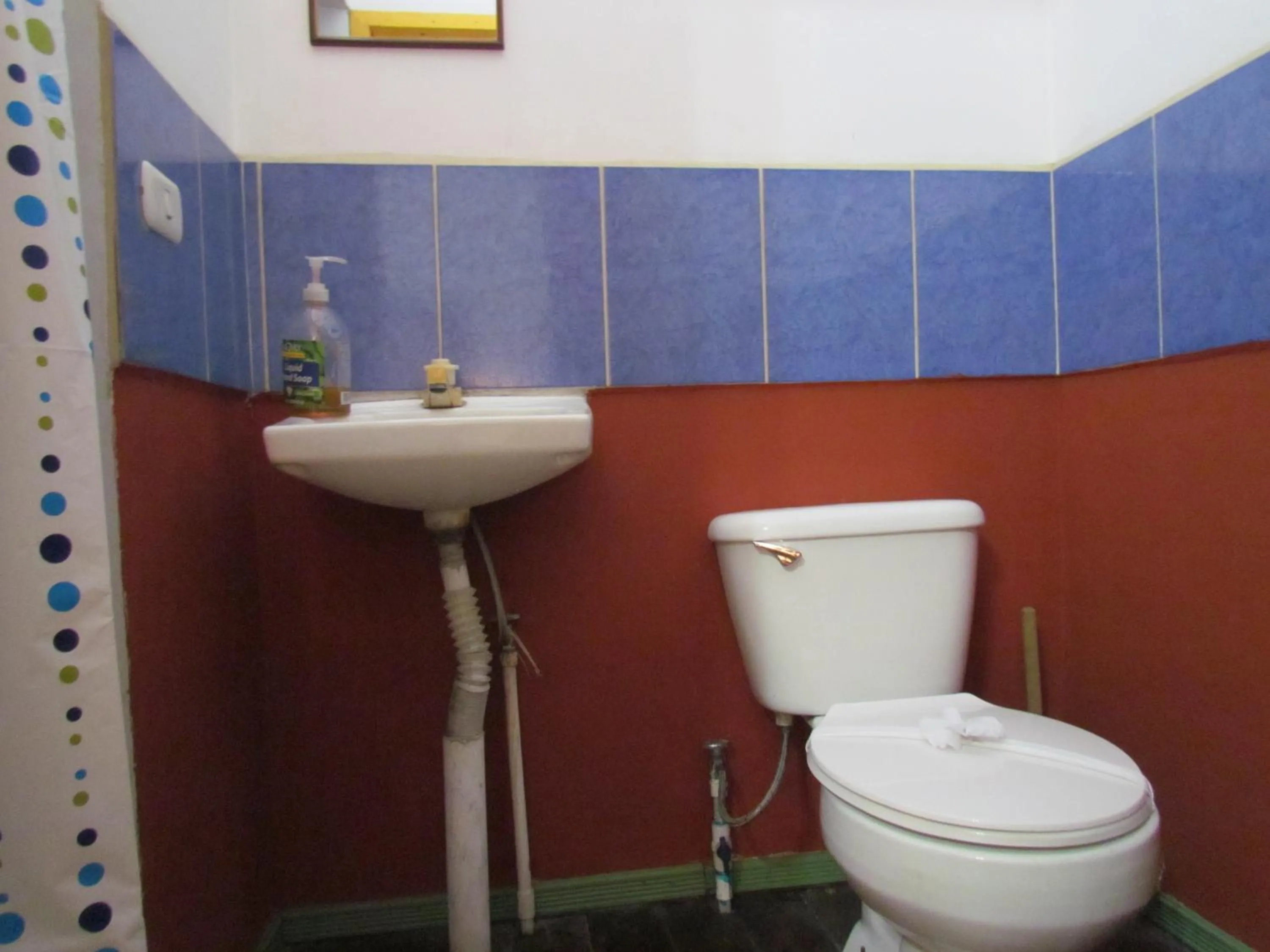 Deluxe Double Room in Hostel Shakti