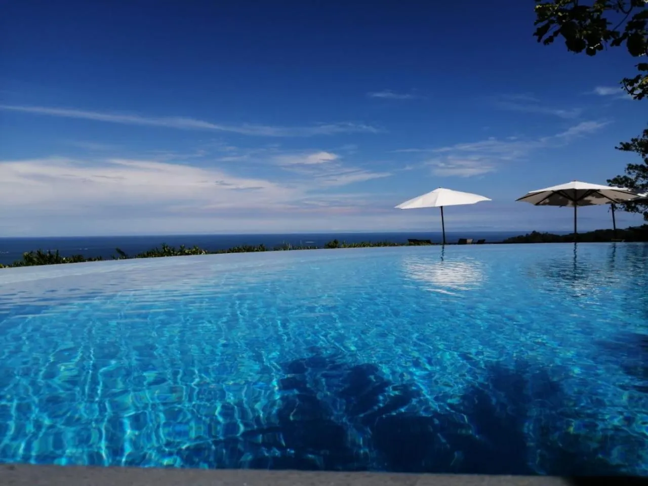 Swimming pool in Vista Ballena