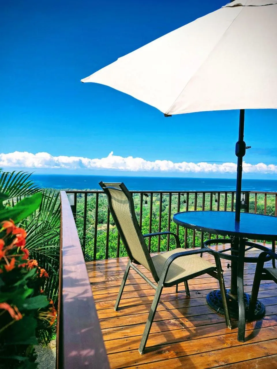 Pool view in Vista Ballena