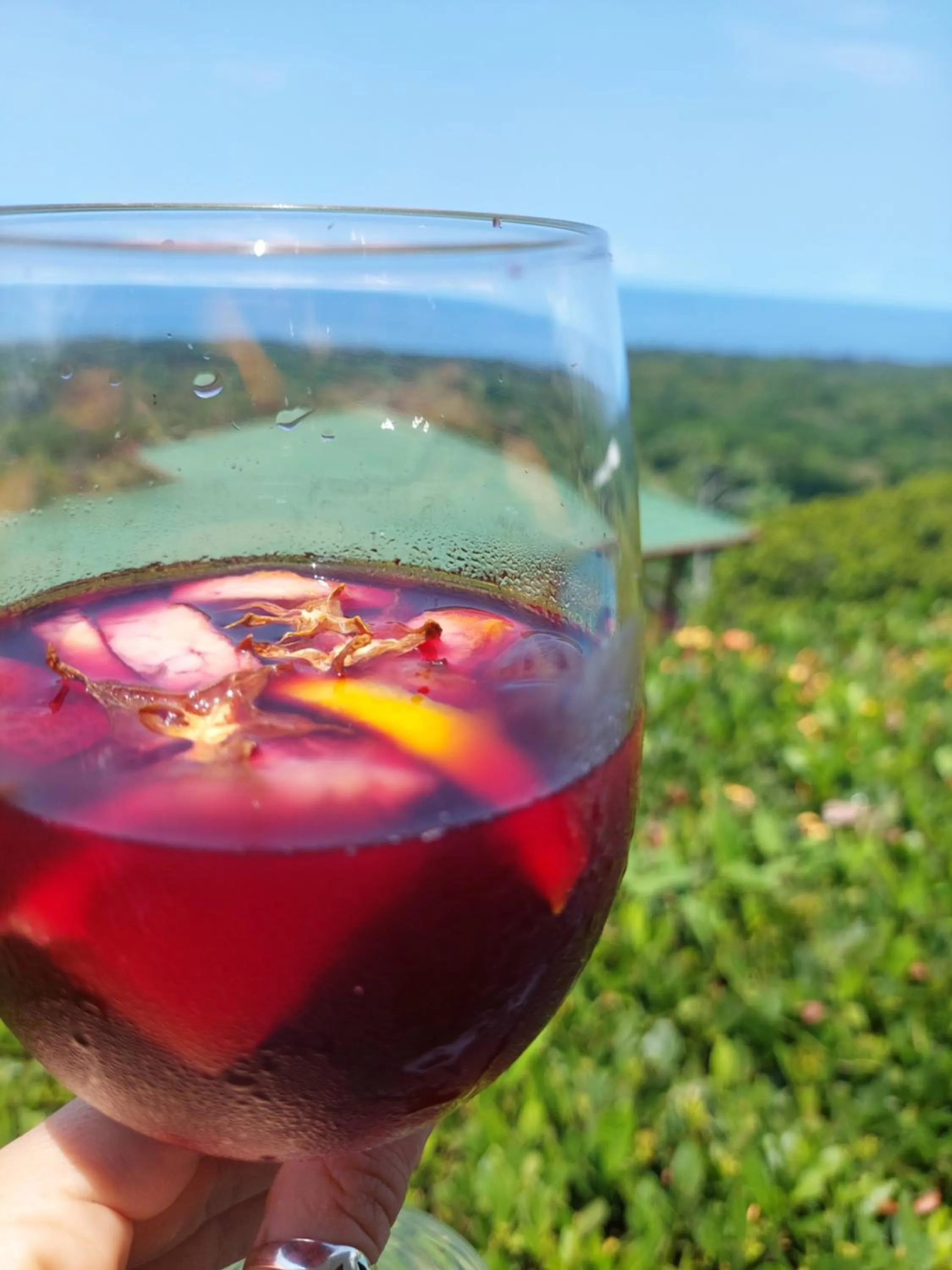 Restaurant/places to eat in Vista Ballena