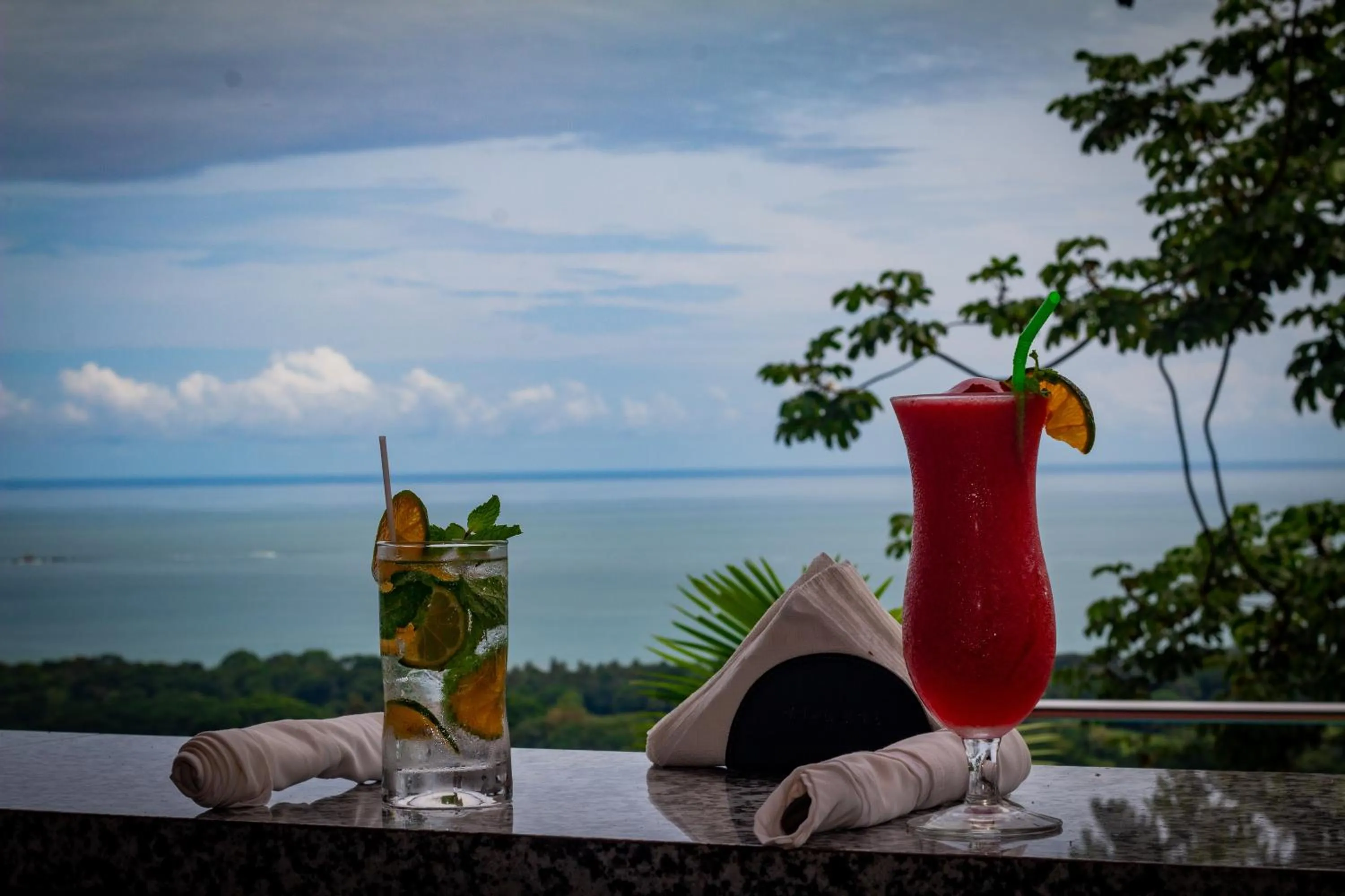 Lounge or bar in Vista Ballena