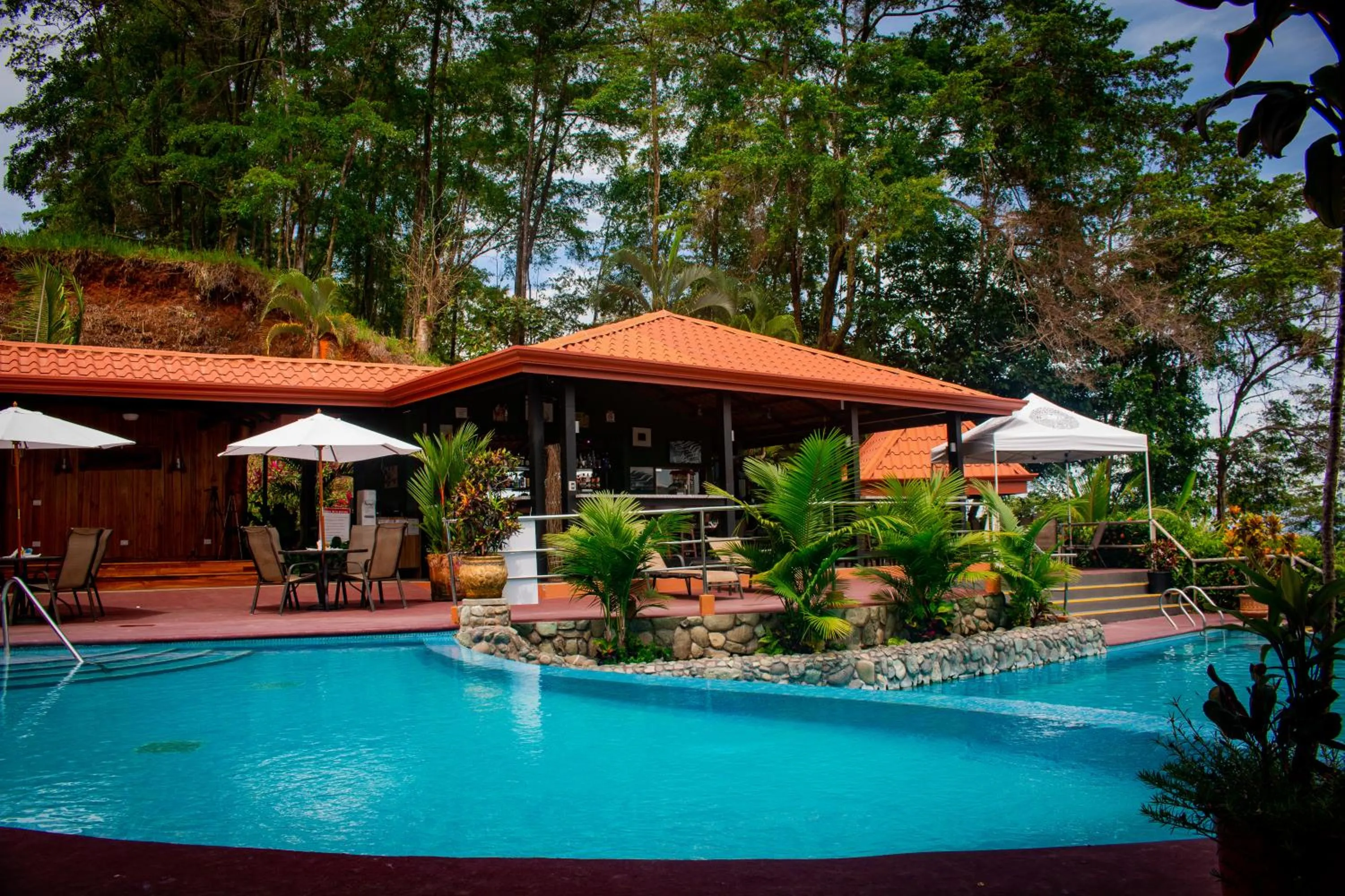 Swimming pool in Vista Ballena