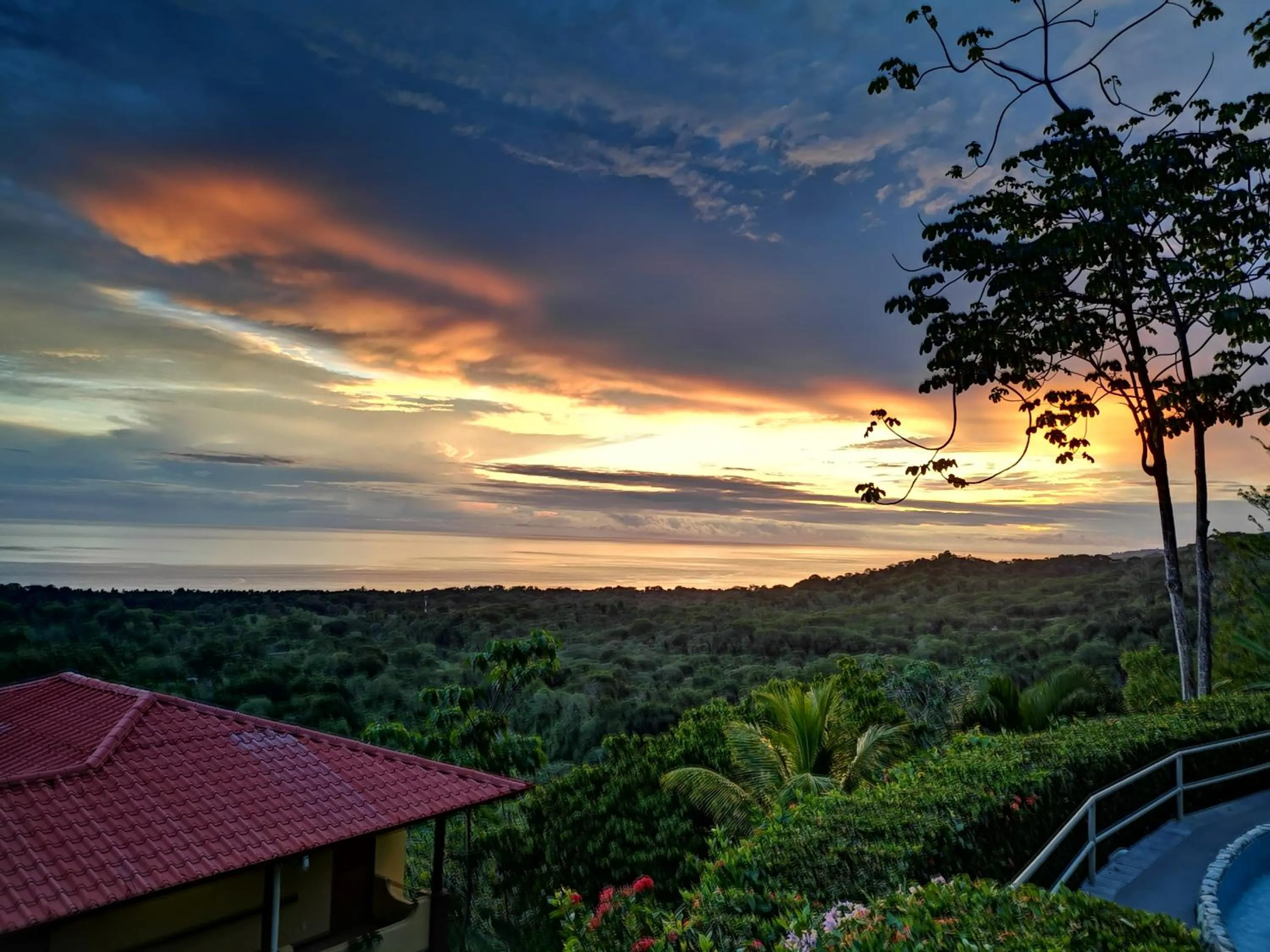 Day in Vista Ballena