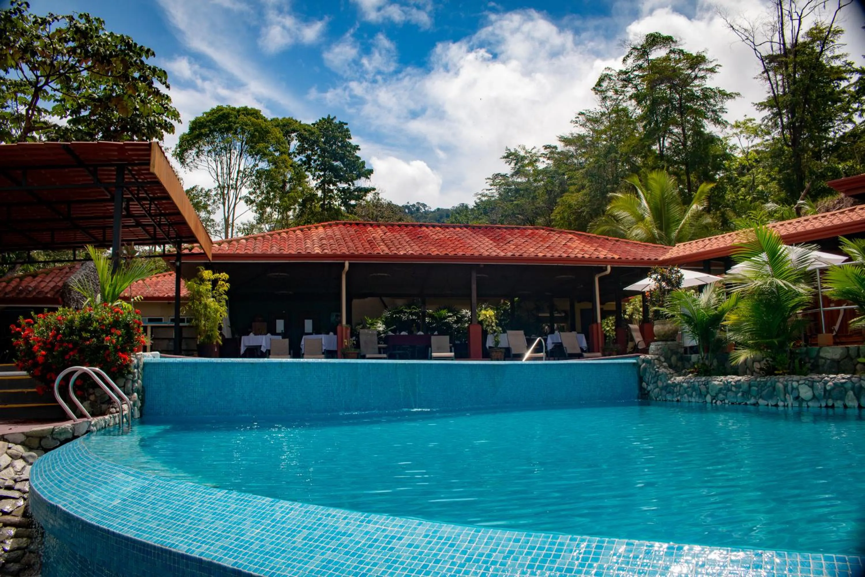 Swimming pool in Vista Ballena