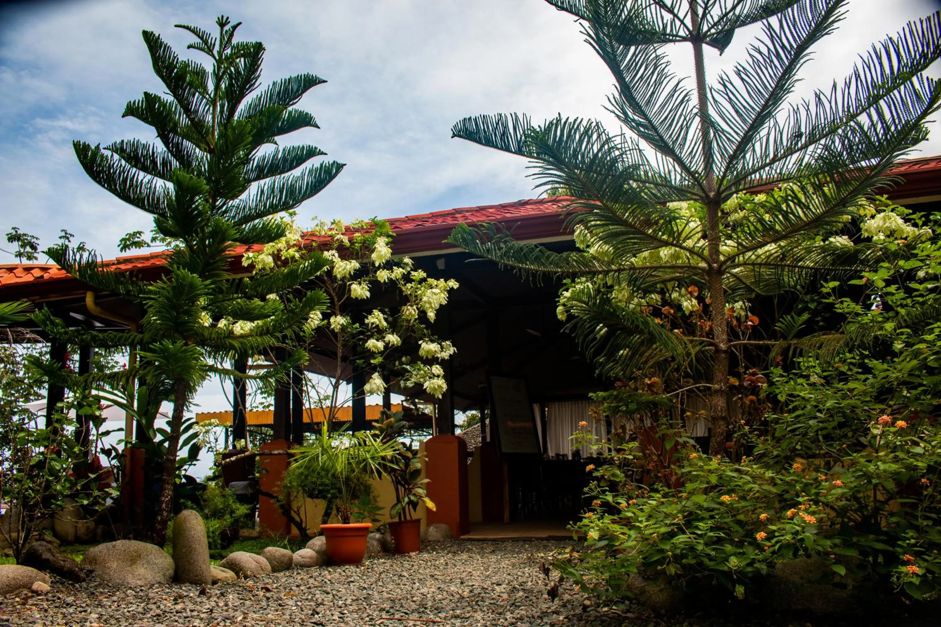 Garden in Vista Ballena