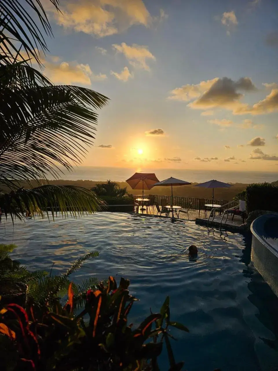 Restaurant/places to eat in Vista Ballena Restaurant/places to eat in Vista Ballena