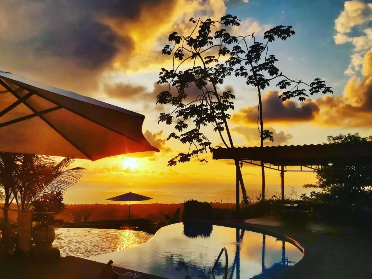 View (from property/room) in Vista Ballena