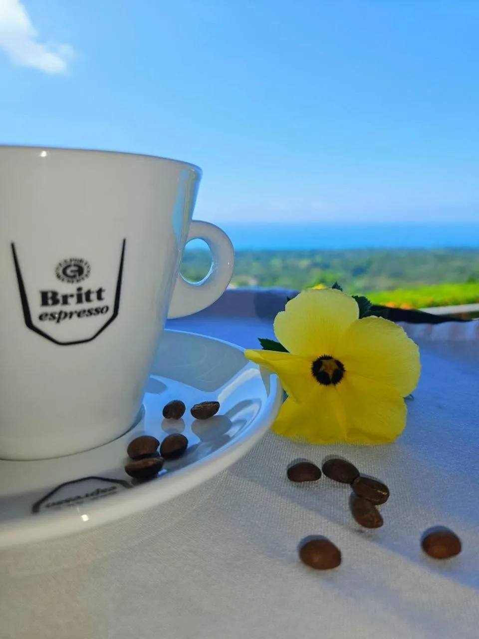 Natural landscape in Vista Ballena