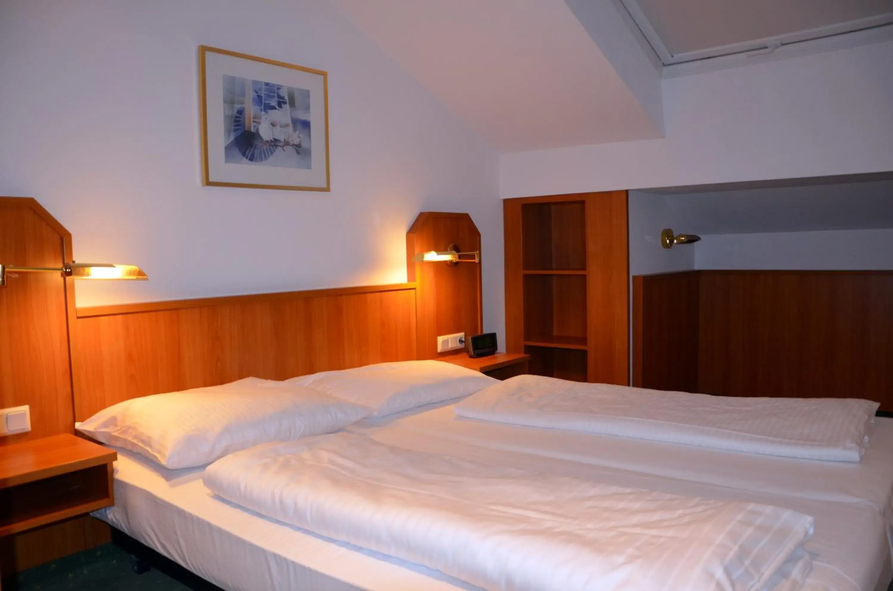 Double Room with Private External Bathroom in Hotel Haus am Park Double Room with Private External Bathroom in Hotel Haus am Park