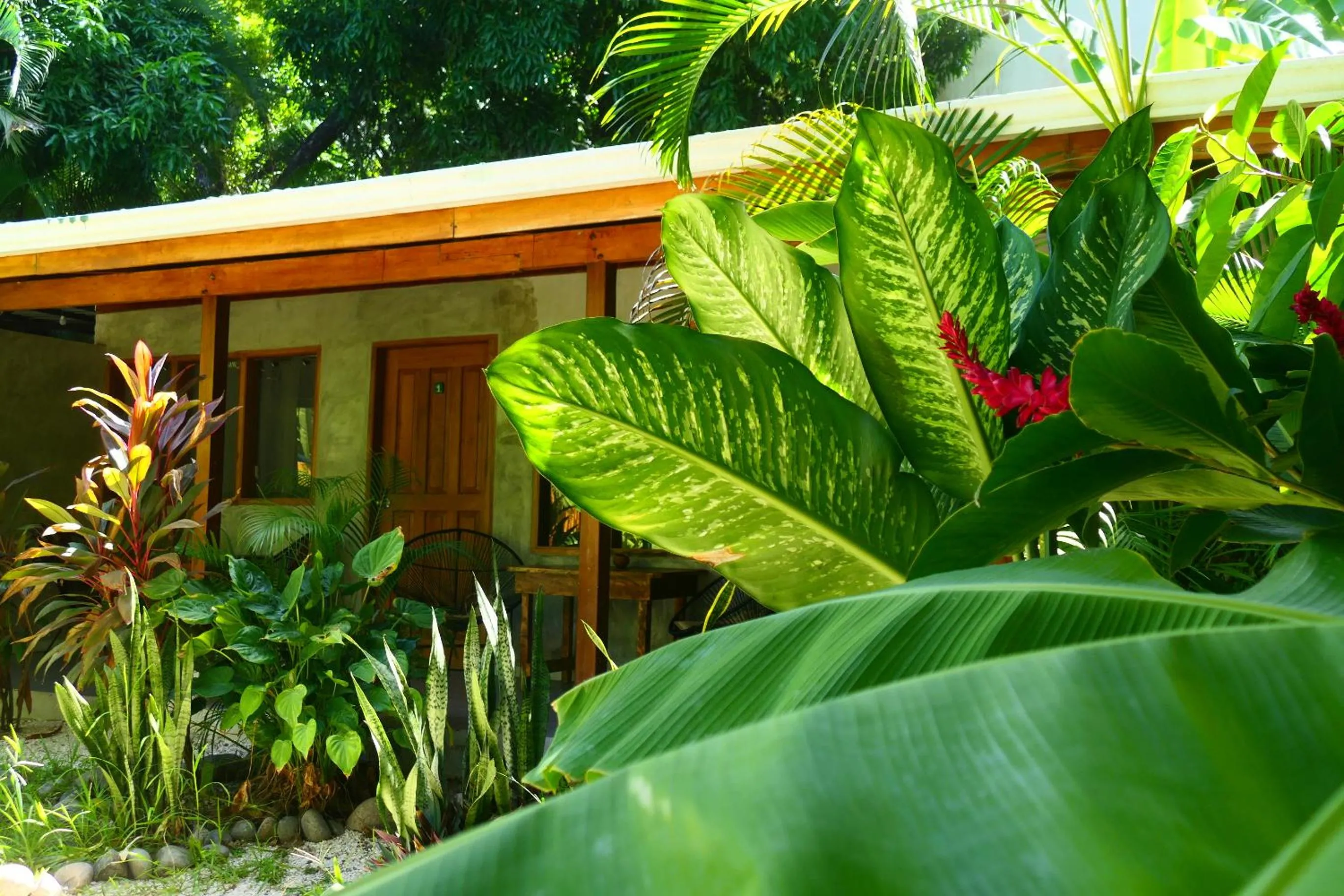 Quadruple Room with Private Bathroom and A/C in Cabinas Playa Surf Hostel