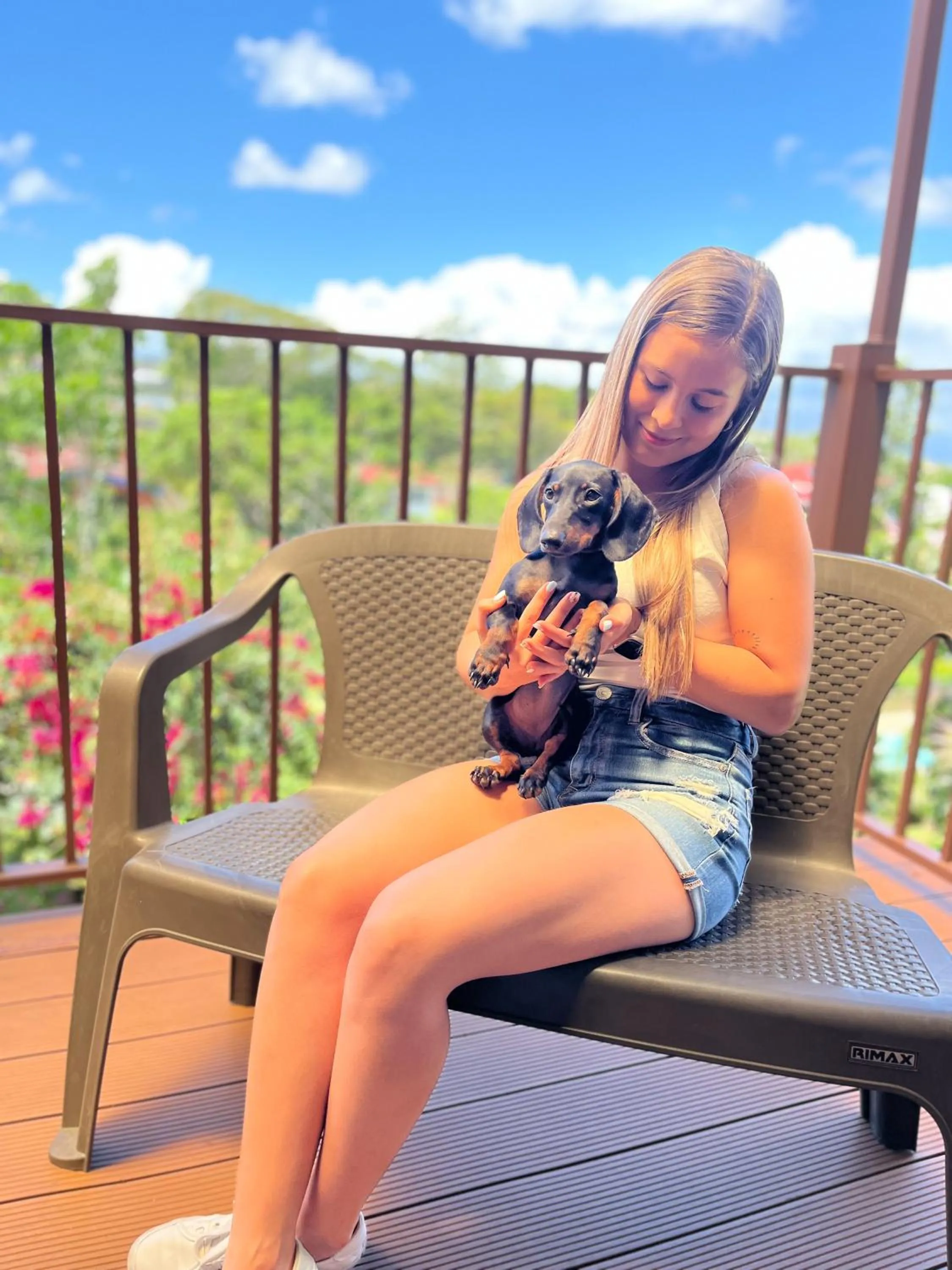 Pets in Legacy Boutique Hotel