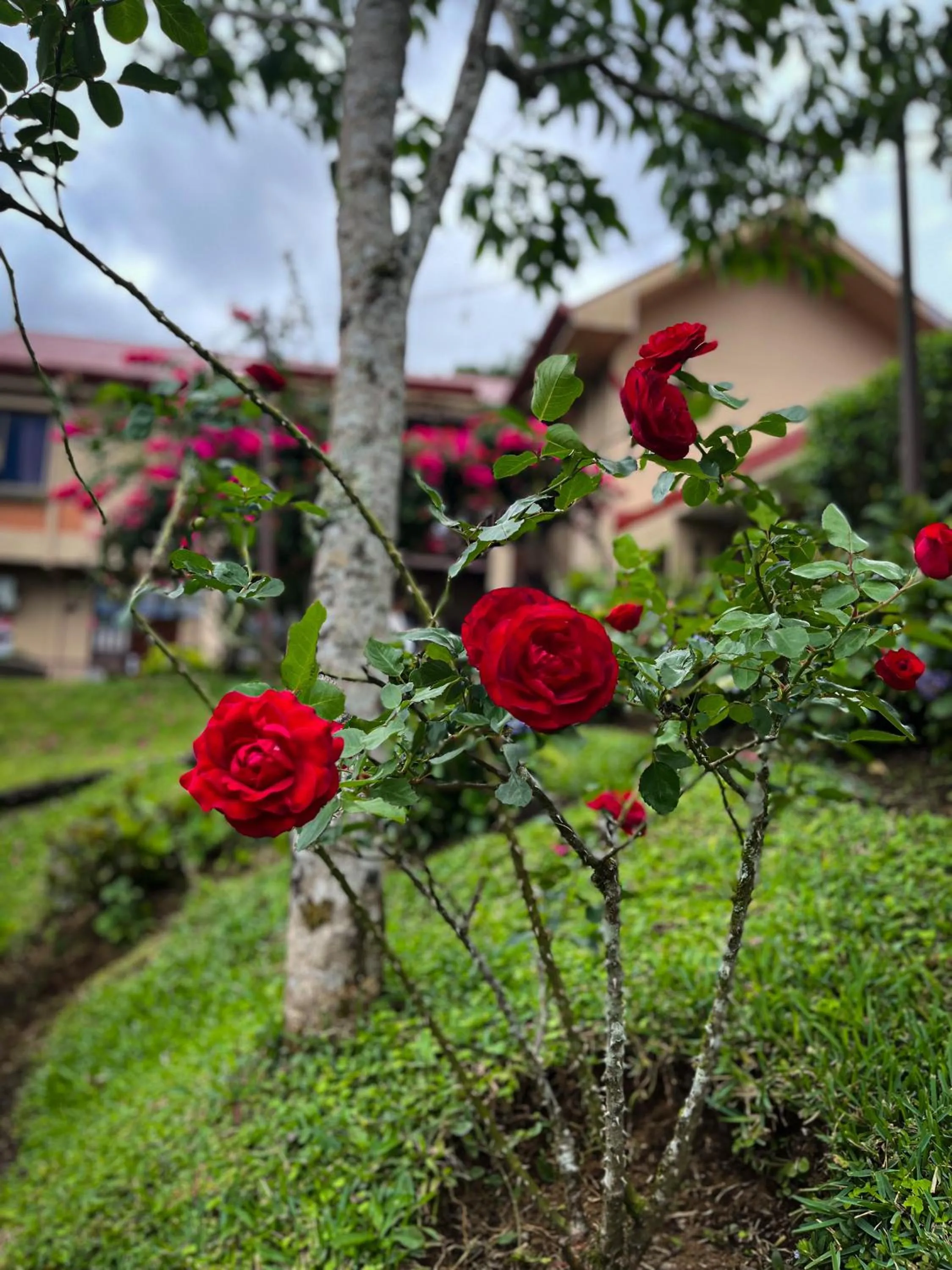 Property building in Legacy Boutique Hotel