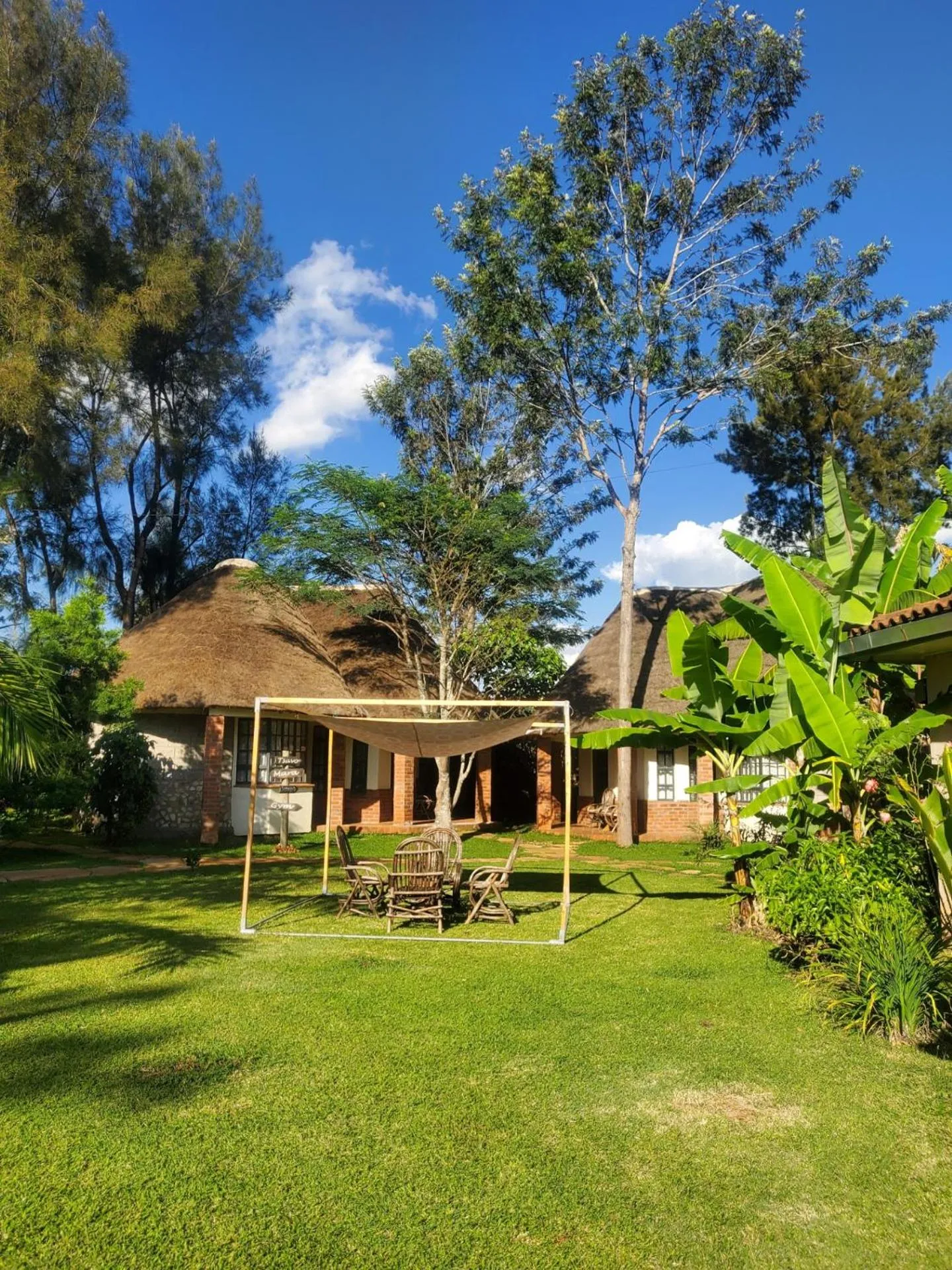 Garden view in Edaala Comfort - B&B