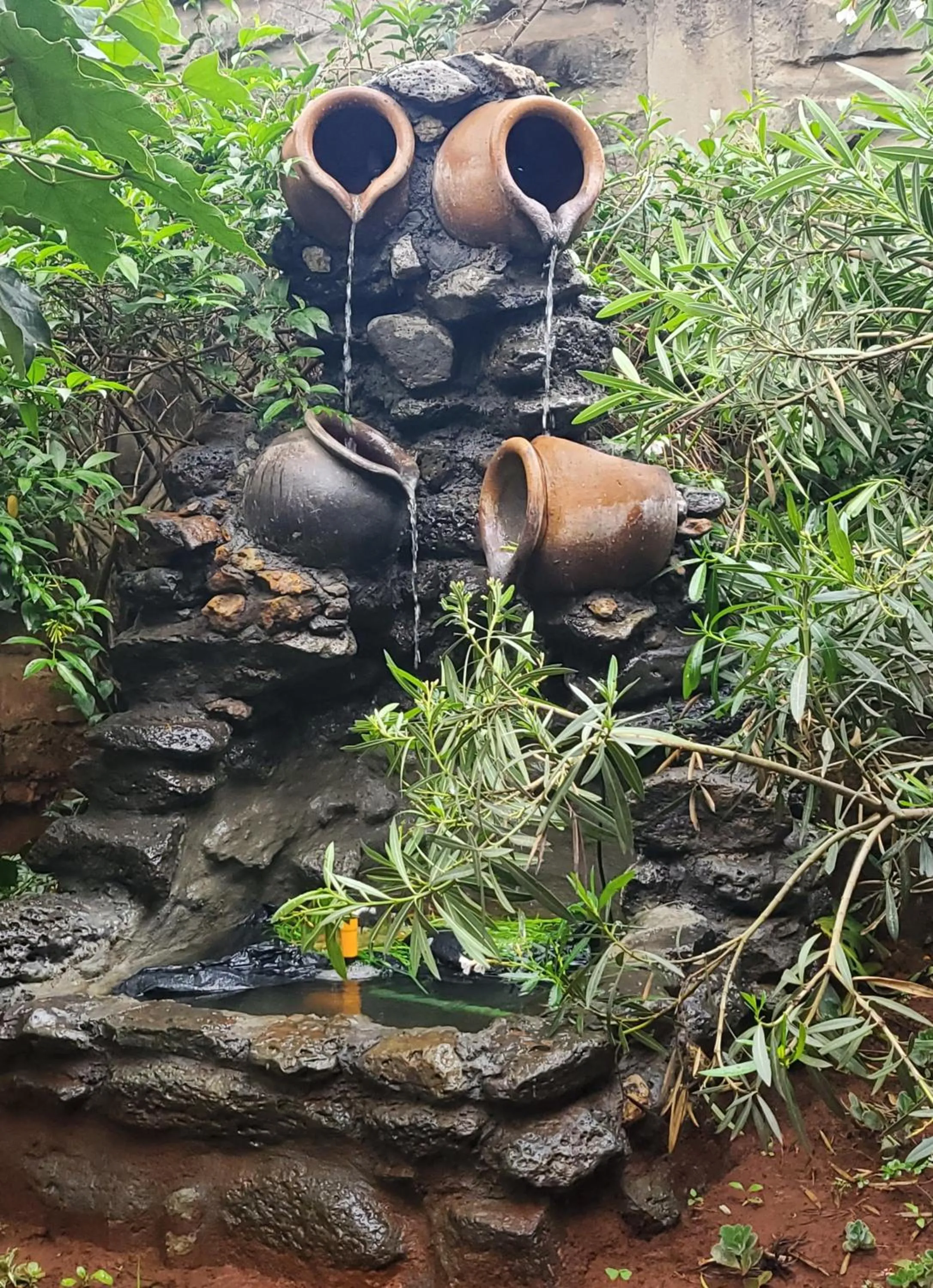 Garden view in Edaala Comfort - B&B