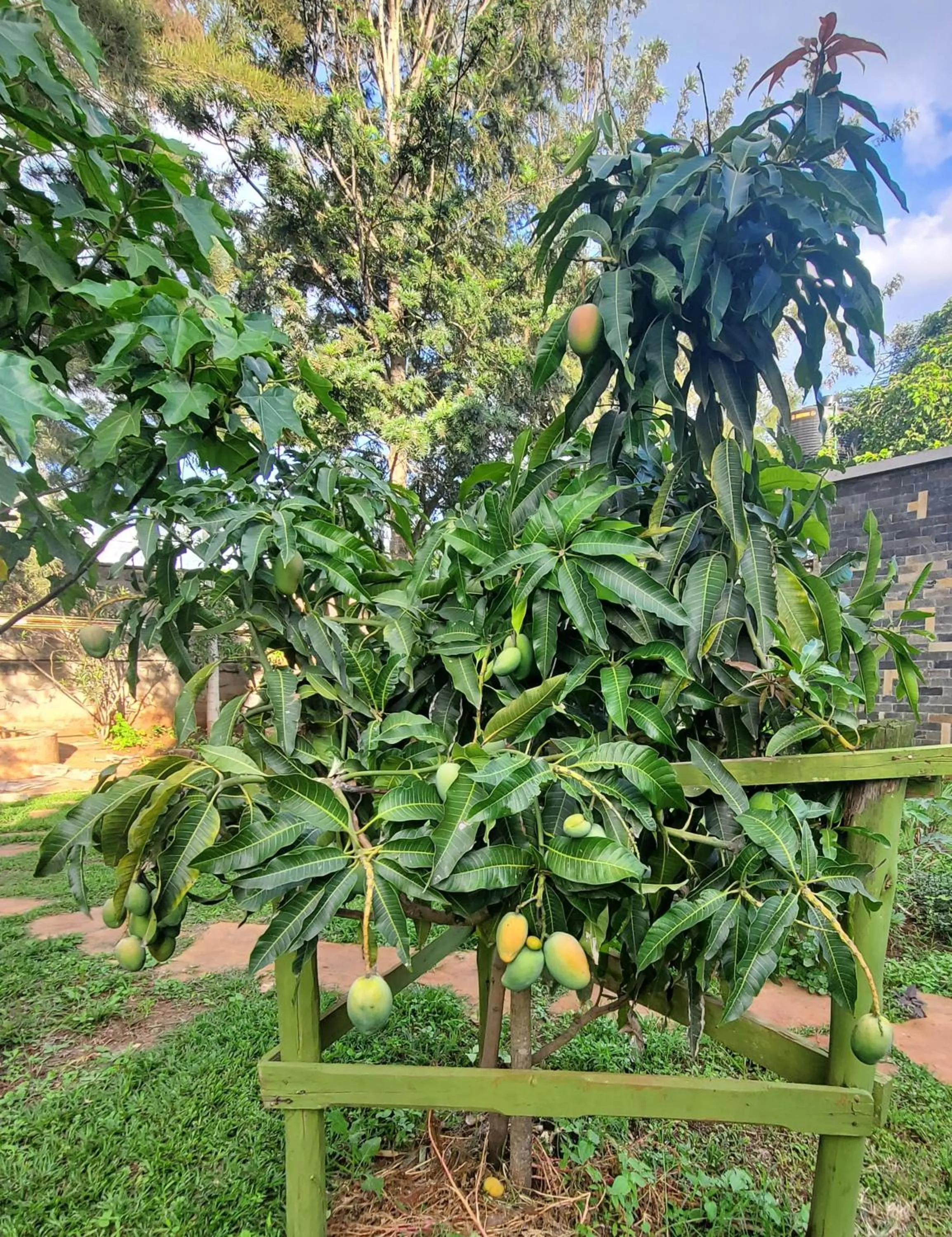 Garden view in Edaala Comfort - B&B