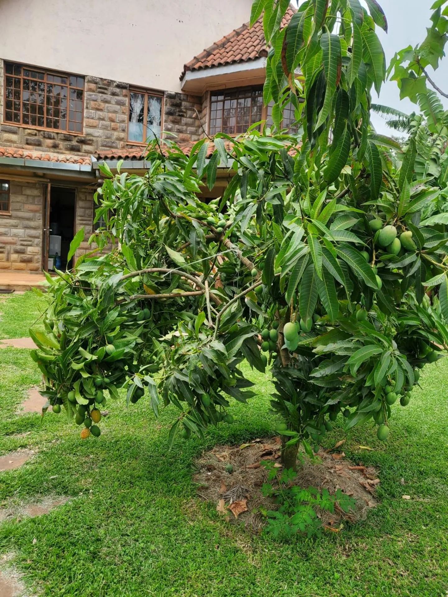 Edaala Comfort - B&B